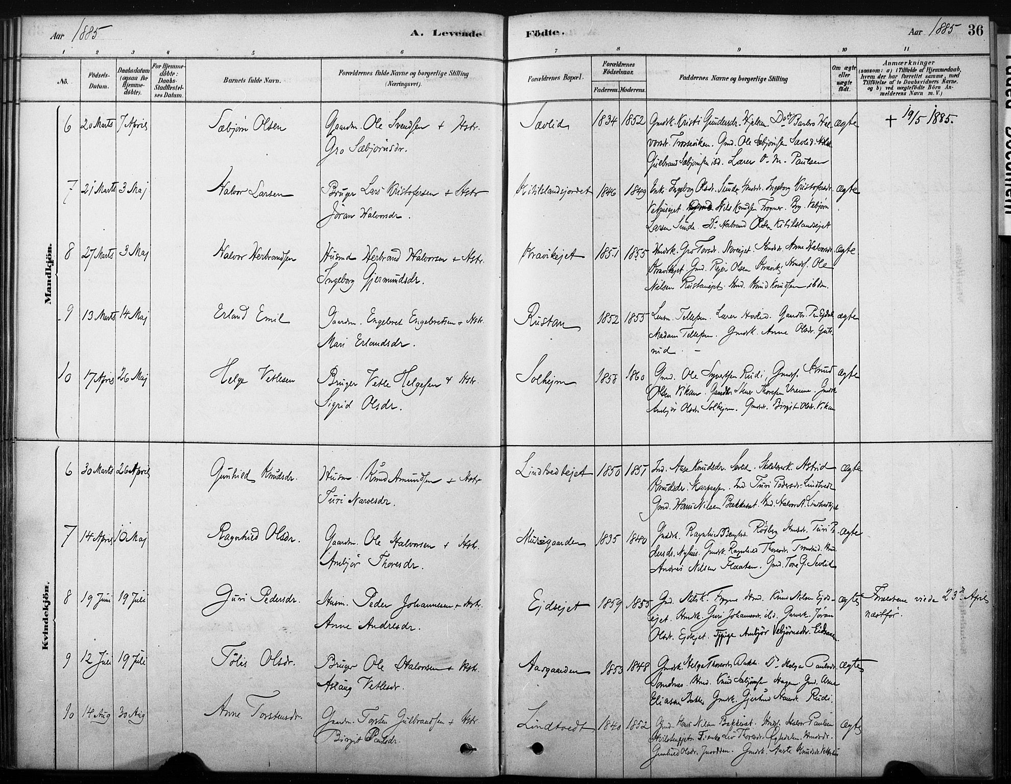 Nore kirkebøker, SAKO/A-238/F/Fb/L0001: Parish register (official) no. II 1, 1878-1886, p. 36