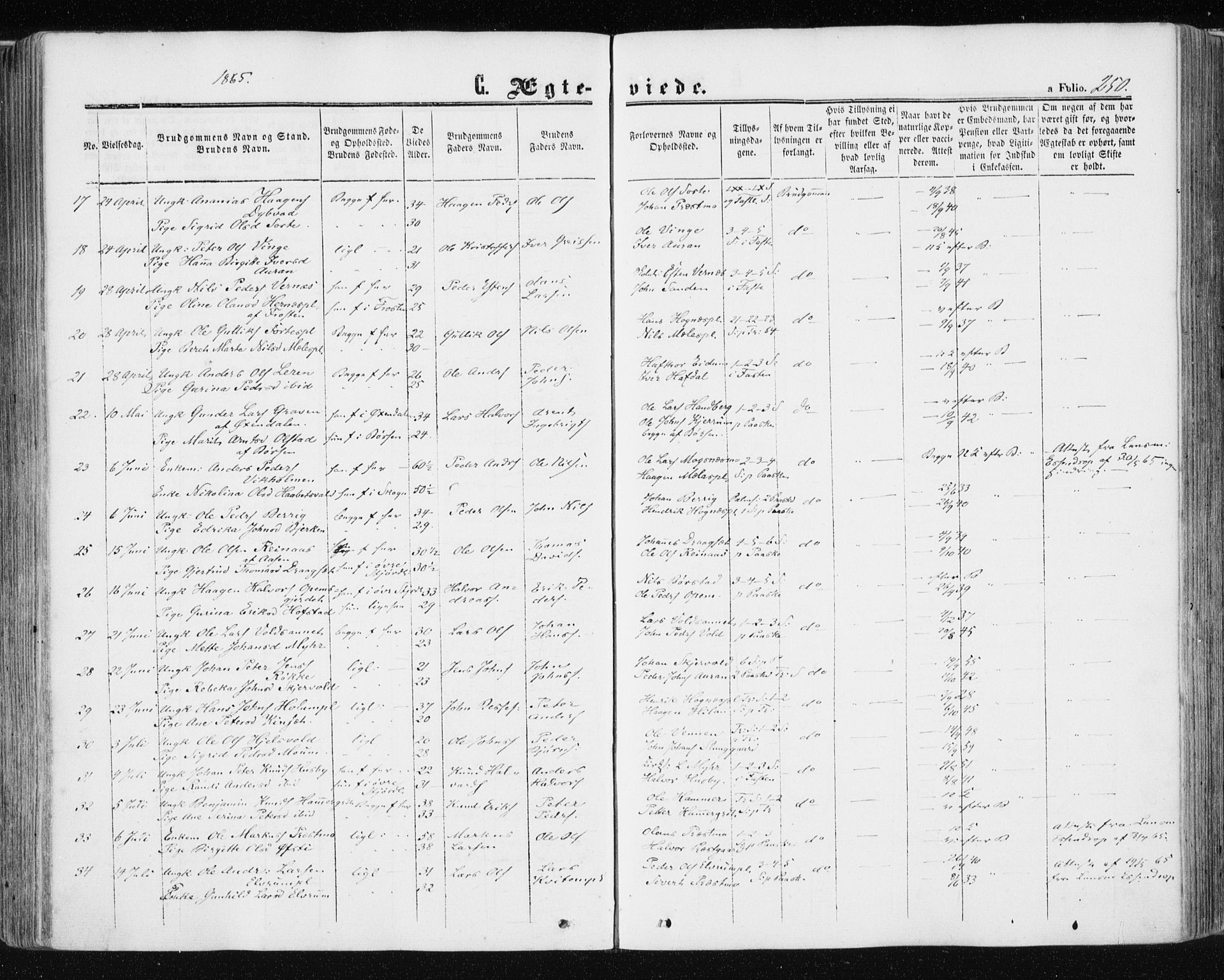 Ministerialprotokoller, klokkerbøker og fødselsregistre - Nord-Trøndelag, SAT/A-1458/709/L0075: Parish register (official) no. 709A15, 1859-1870, p. 250