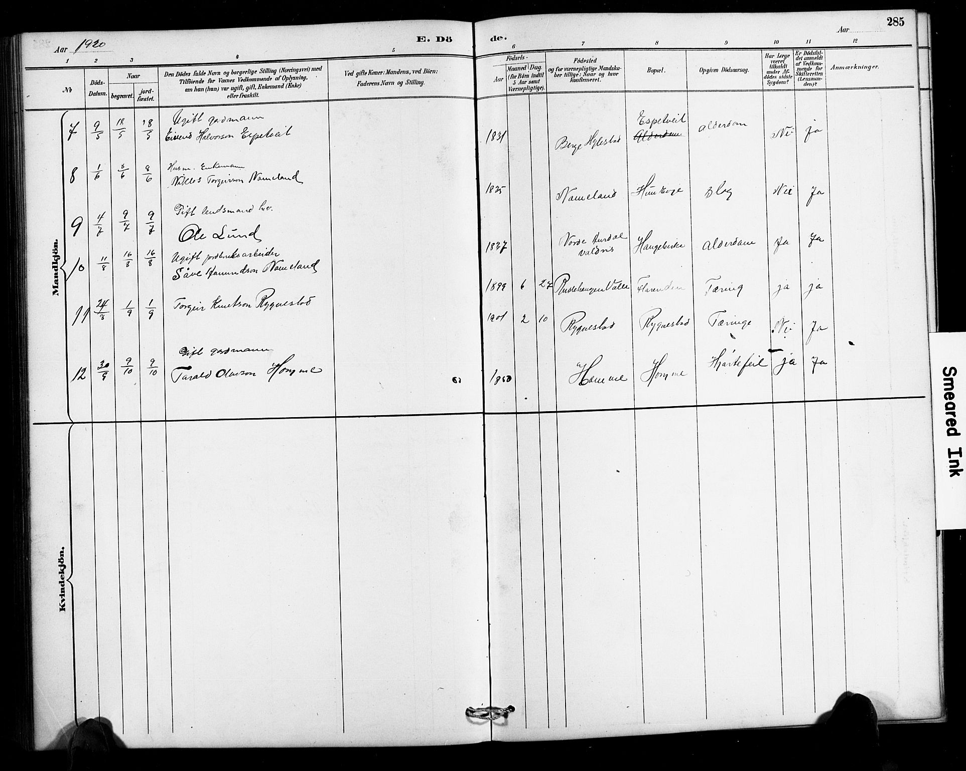 Valle sokneprestkontor, SAK/1111-0044/F/Fb/Fbc/L0004: Parish register (copy) no. B 4, 1890-1928, p. 285
