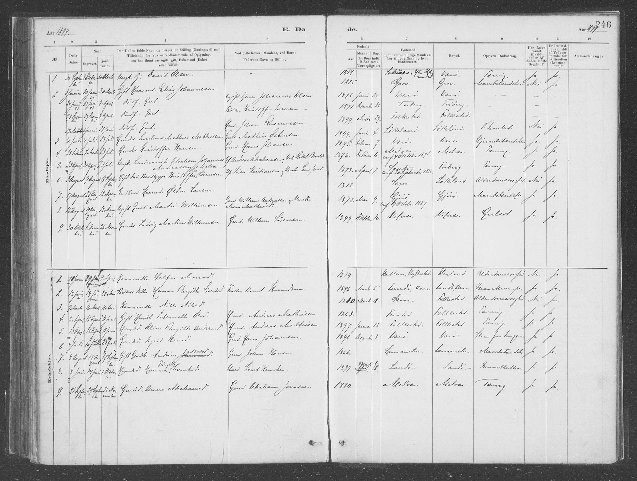 Askvoll sokneprestembete, SAB/A-79501/H/Haa/Haac/L0001: Parish register (official) no. C  1, 1879-1922, p. 246