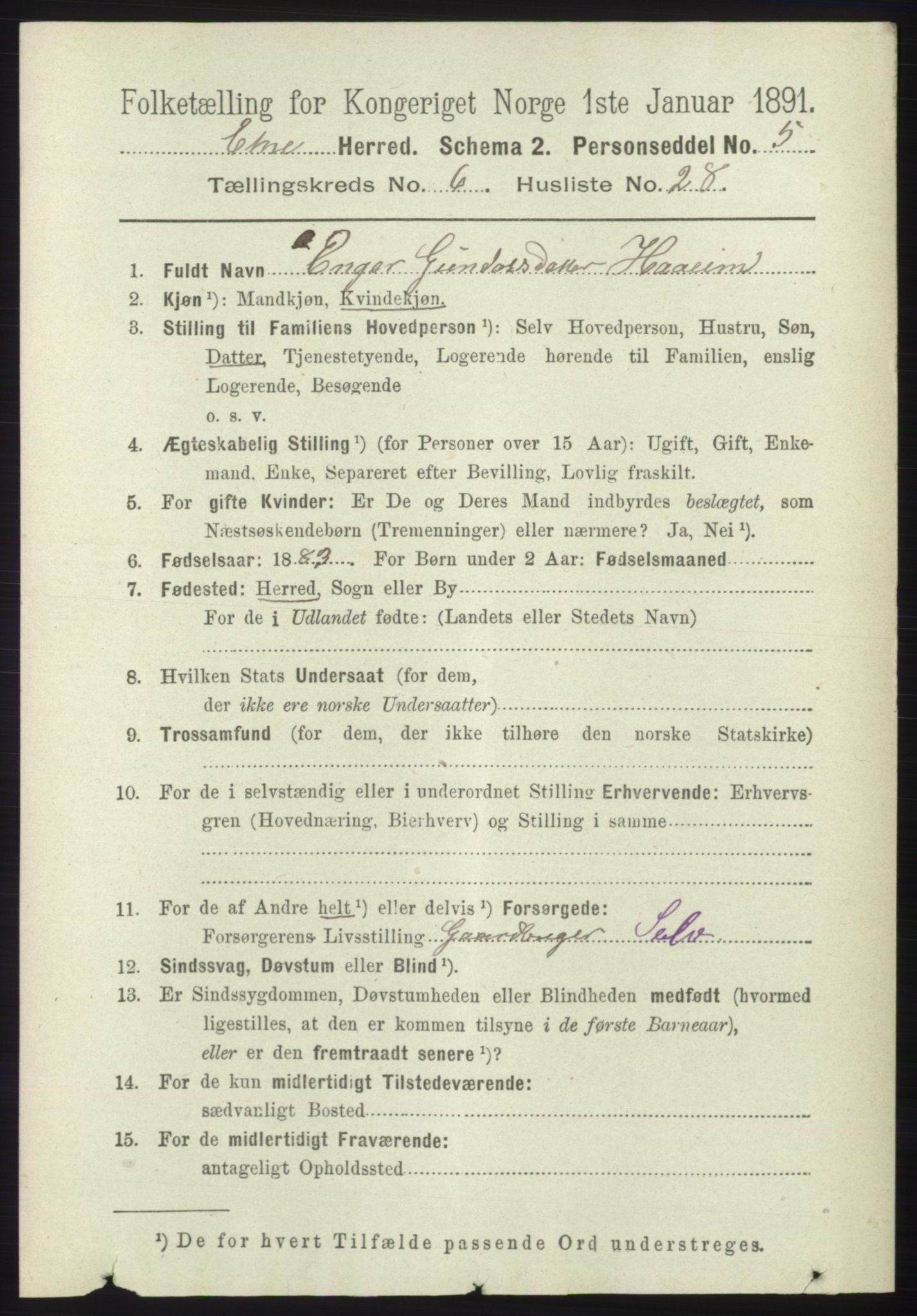 RA, 1891 census for 1211 Etne, 1891, p. 1348