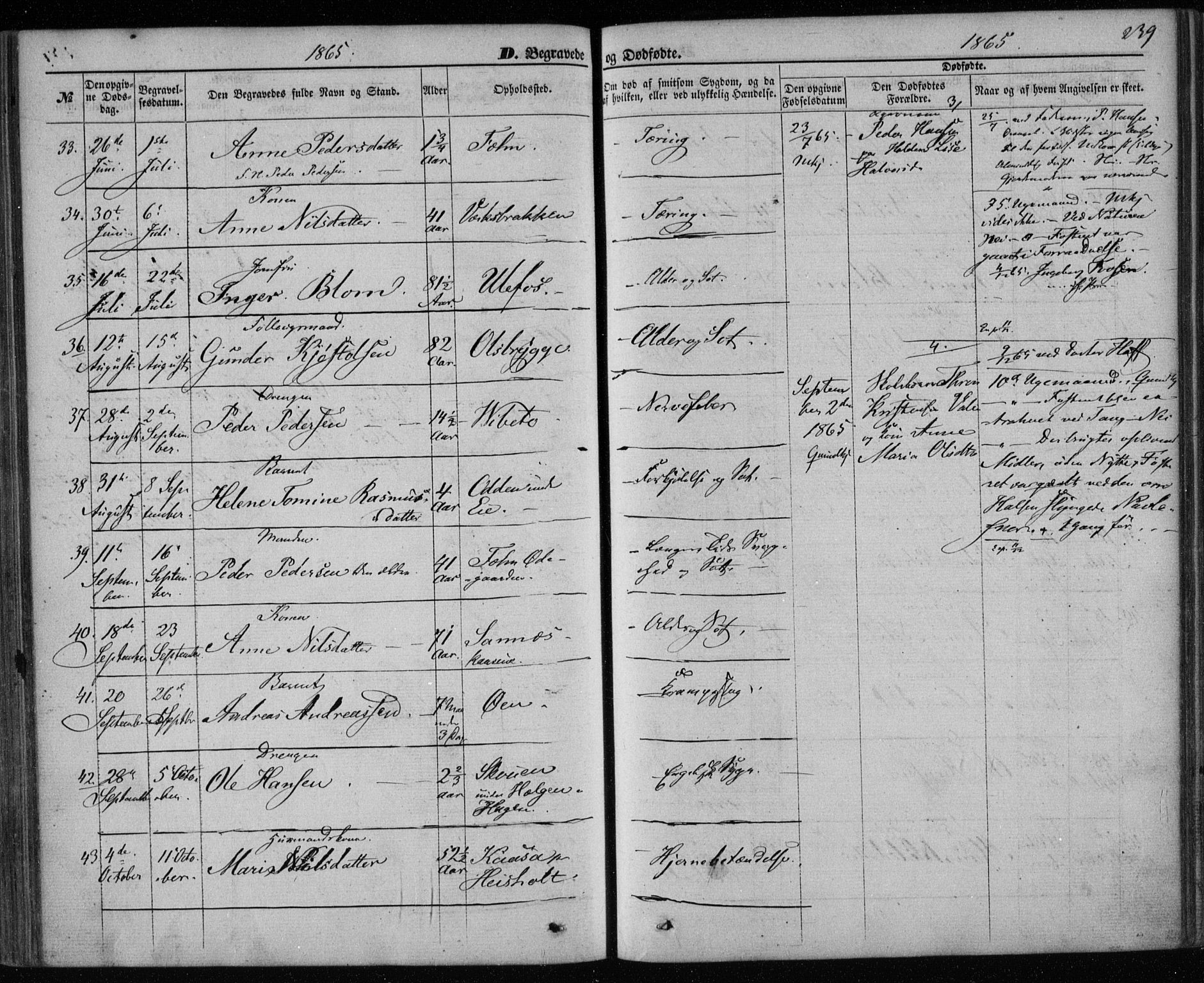 Holla kirkebøker, AV/SAKO-A-272/F/Fa/L0006: Parish register (official) no. 6, 1861-1869, p. 239