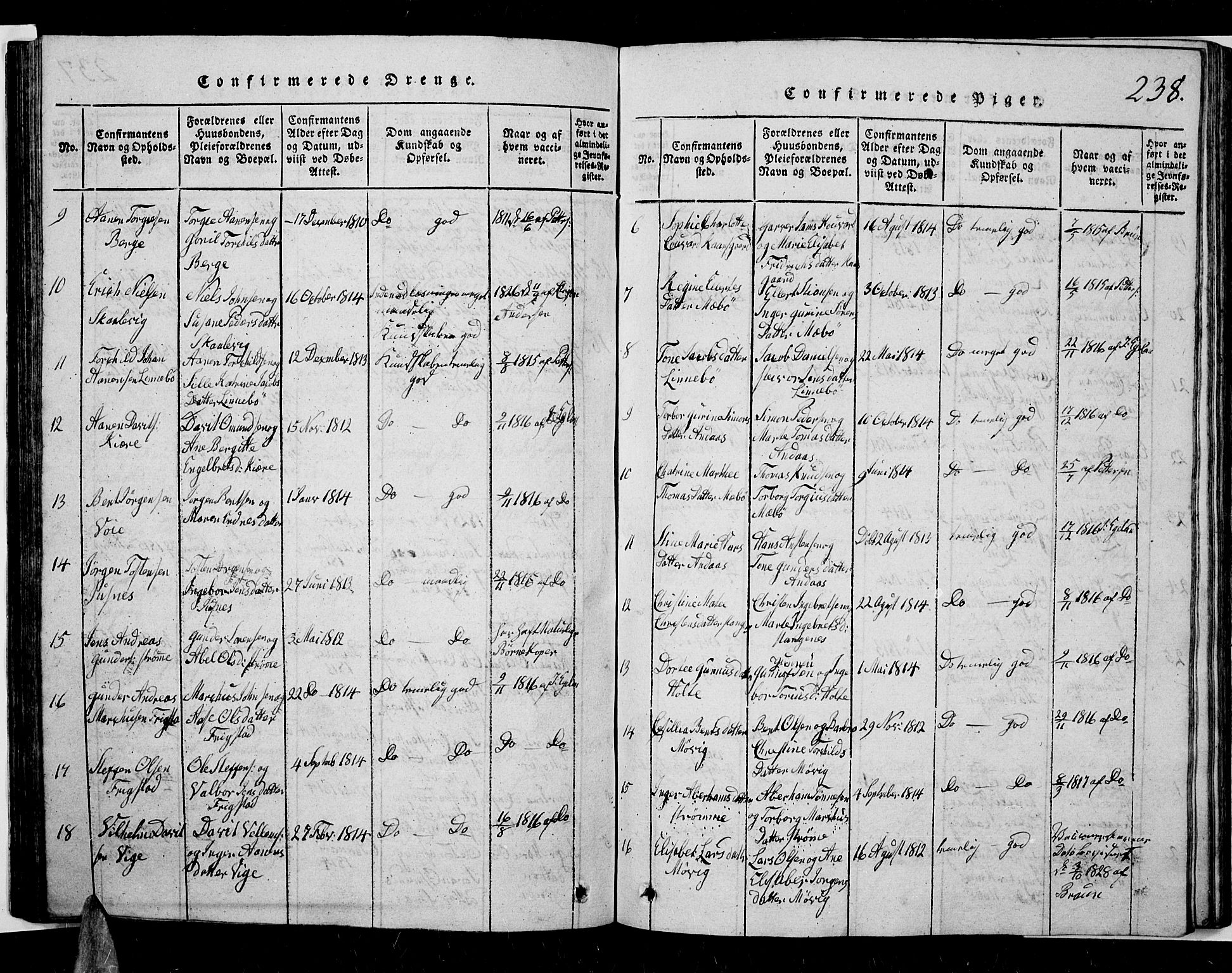 Oddernes sokneprestkontor, AV/SAK-1111-0033/F/Fb/Fba/L0003: Parish register (copy) no. B 3, 1820-1838, p. 238