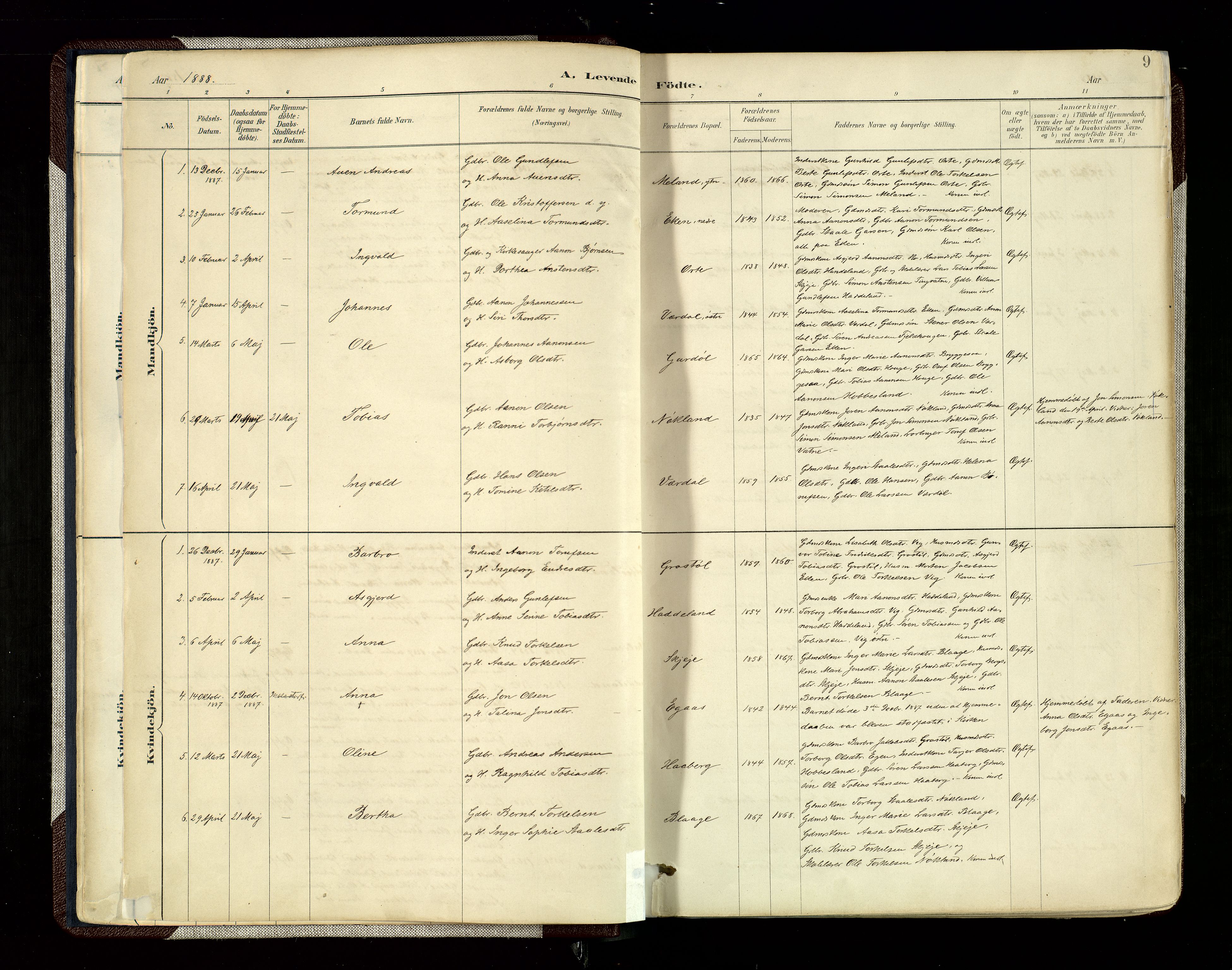 Hægebostad sokneprestkontor, SAK/1111-0024/F/Fa/Fab/L0004: Parish register (official) no. A 4, 1887-1929, p. 9
