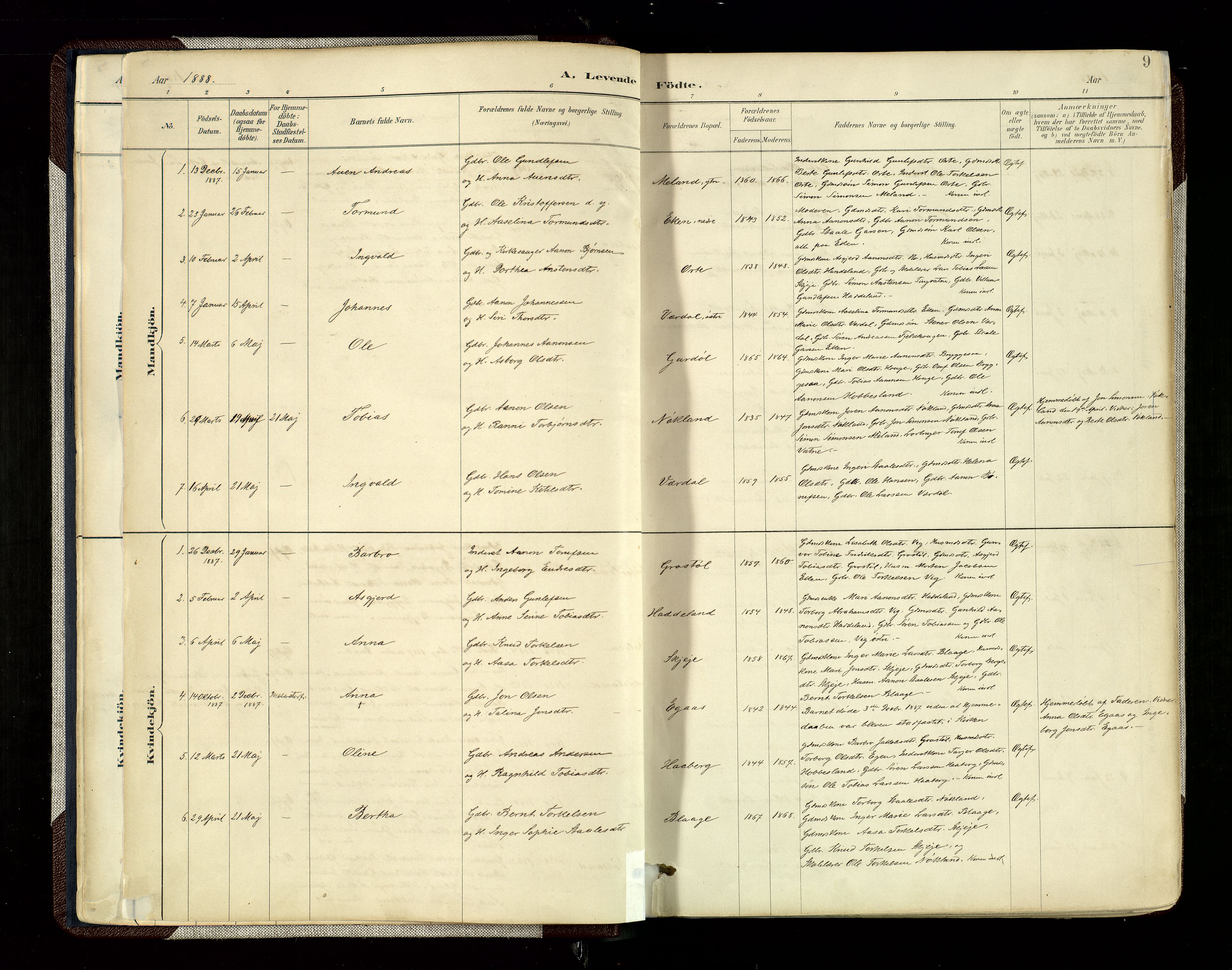 Hægebostad sokneprestkontor, AV/SAK-1111-0024/F/Fa/Fab/L0004: Parish register (official) no. A 4, 1887-1929, p. 9