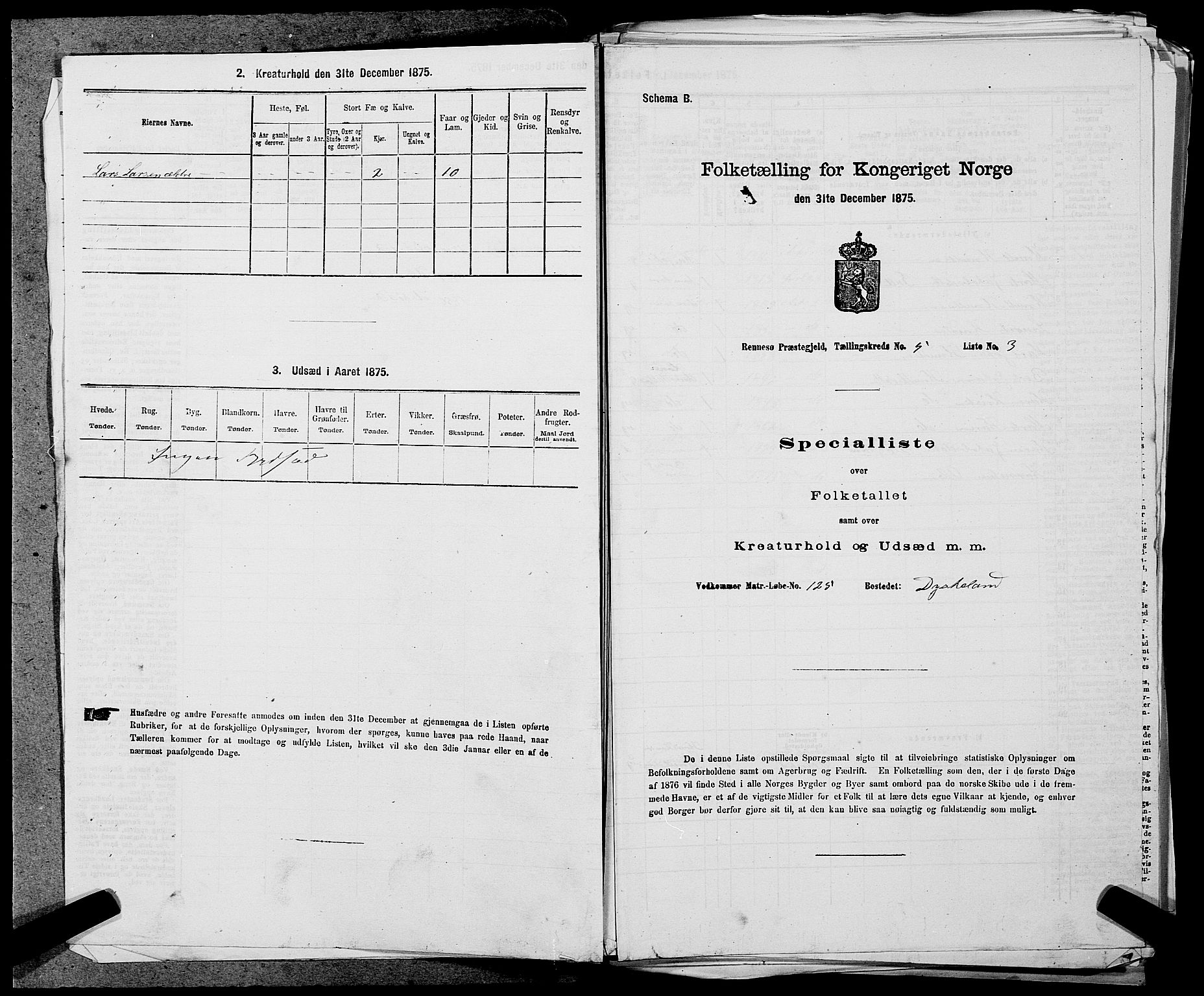 SAST, 1875 census for 1142P Rennesøy, 1875, p. 568