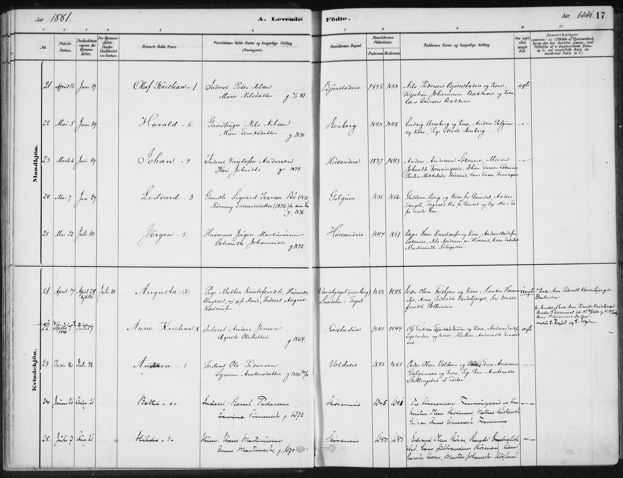 Romedal prestekontor, AV/SAH-PREST-004/K/L0010: Parish register (official) no. 10, 1880-1895, p. 17