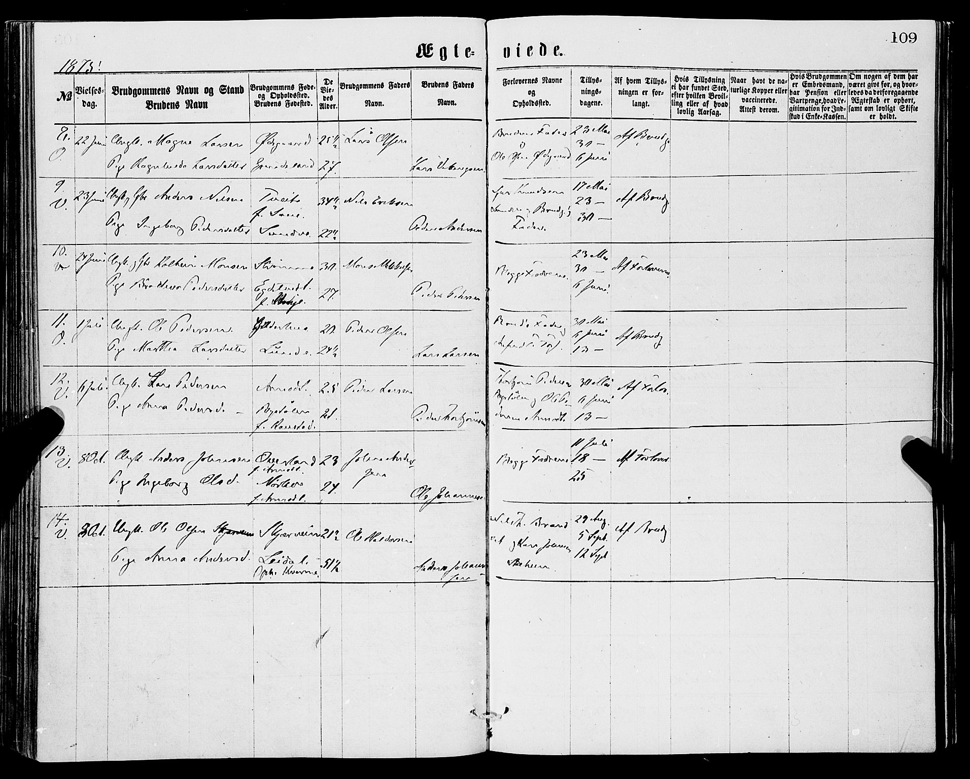 Vossestrand Sokneprestembete, AV/SAB-A-79101/H/Haa: Parish register (official) no. A 1, 1866-1877, p. 109