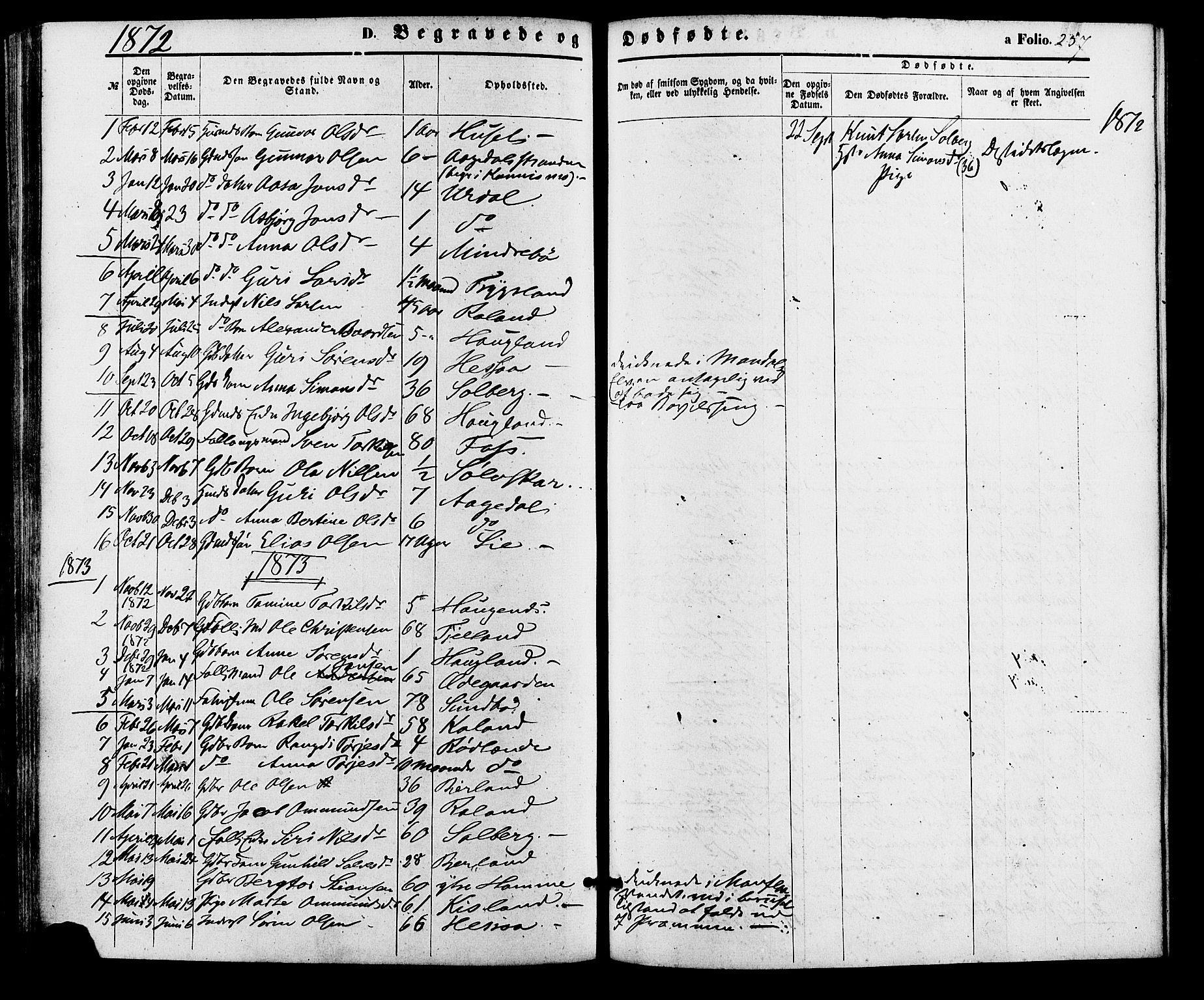 Bjelland sokneprestkontor, SAK/1111-0005/F/Fa/Faa/L0003: Parish register (official) no. A 3, 1867-1887, p. 257