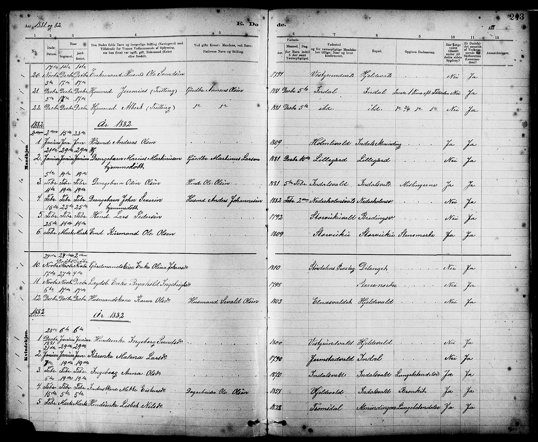 Ministerialprotokoller, klokkerbøker og fødselsregistre - Nord-Trøndelag, SAT/A-1458/724/L0267: Parish register (copy) no. 724C03, 1879-1898, p. 243