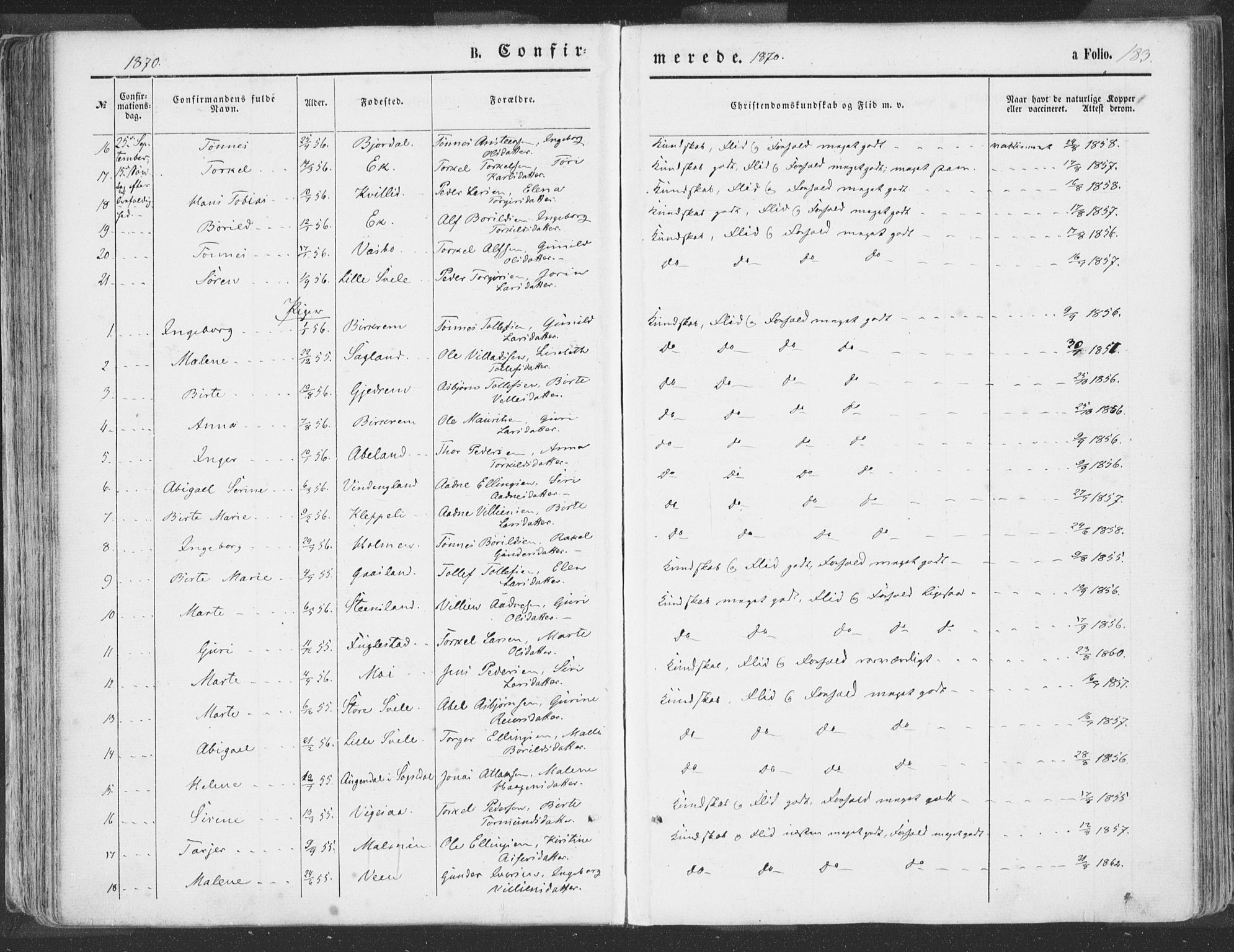 Helleland sokneprestkontor, AV/SAST-A-101810: Parish register (official) no. A 7.1, 1863-1886, p. 183