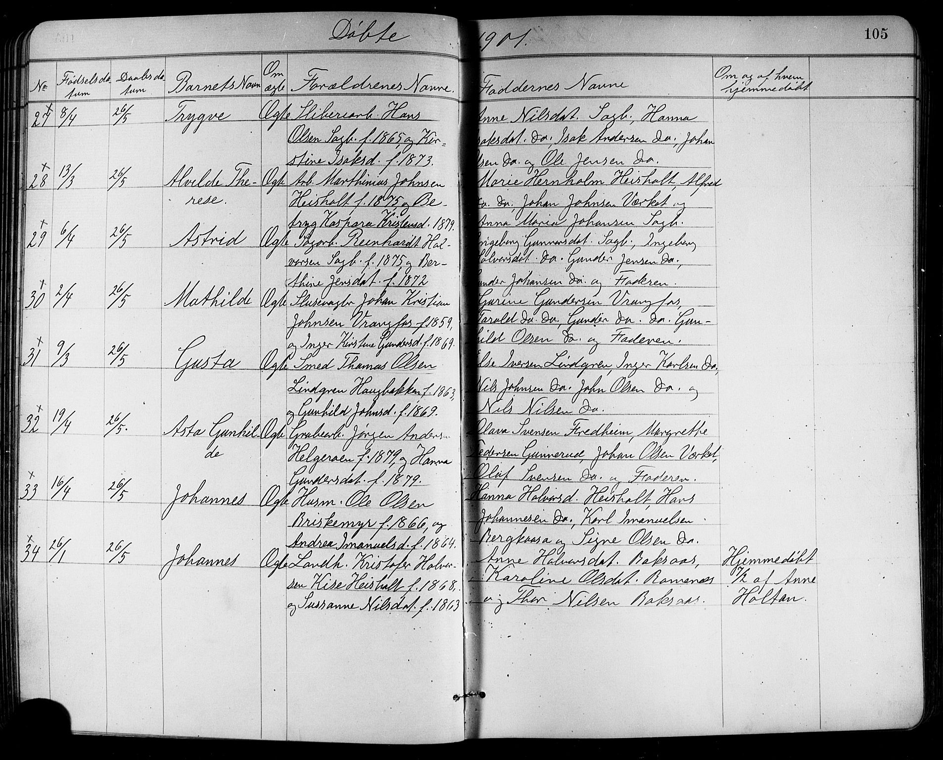 Holla kirkebøker, AV/SAKO-A-272/G/Ga/L0005: Parish register (copy) no. I 5, 1891-1917, p. 105