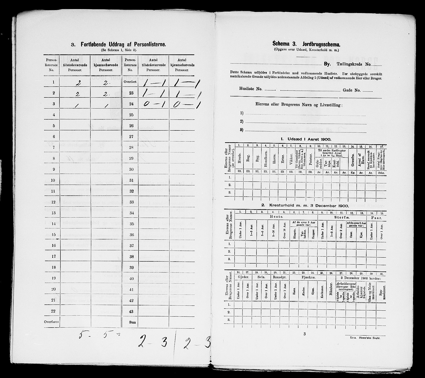 SAST, 1900 census for Stavanger, 1900, p. 13062