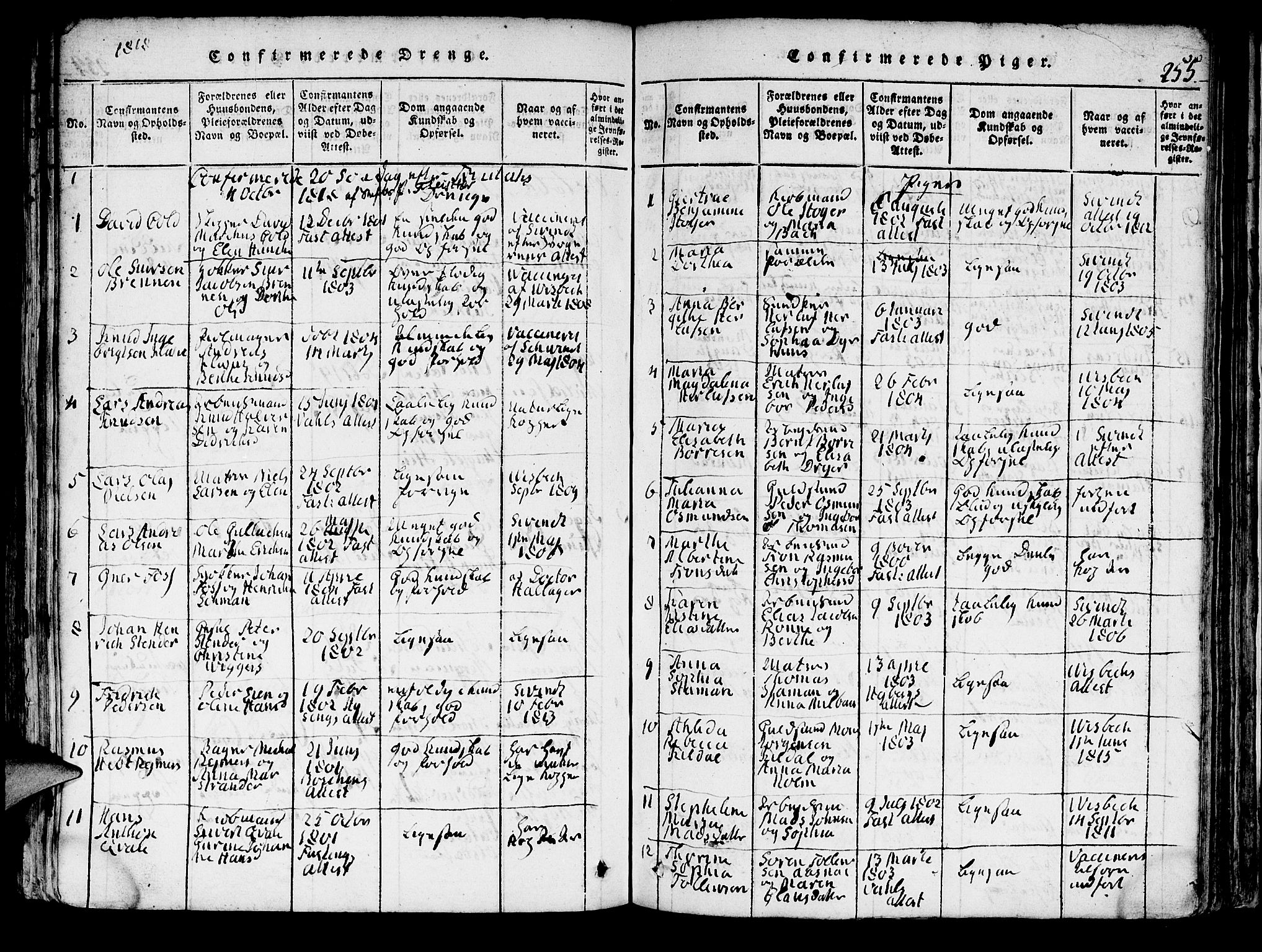 Domkirken sokneprestembete, AV/SAB-A-74801/H/Hab/L0001: Parish register (copy) no. A 1, 1816-1821, p. 255