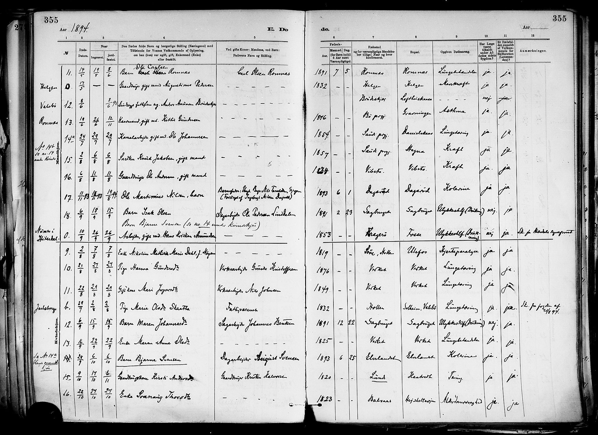 Holla kirkebøker, SAKO/A-272/F/Fa/L0008: Parish register (official) no. 8, 1882-1897, p. 355