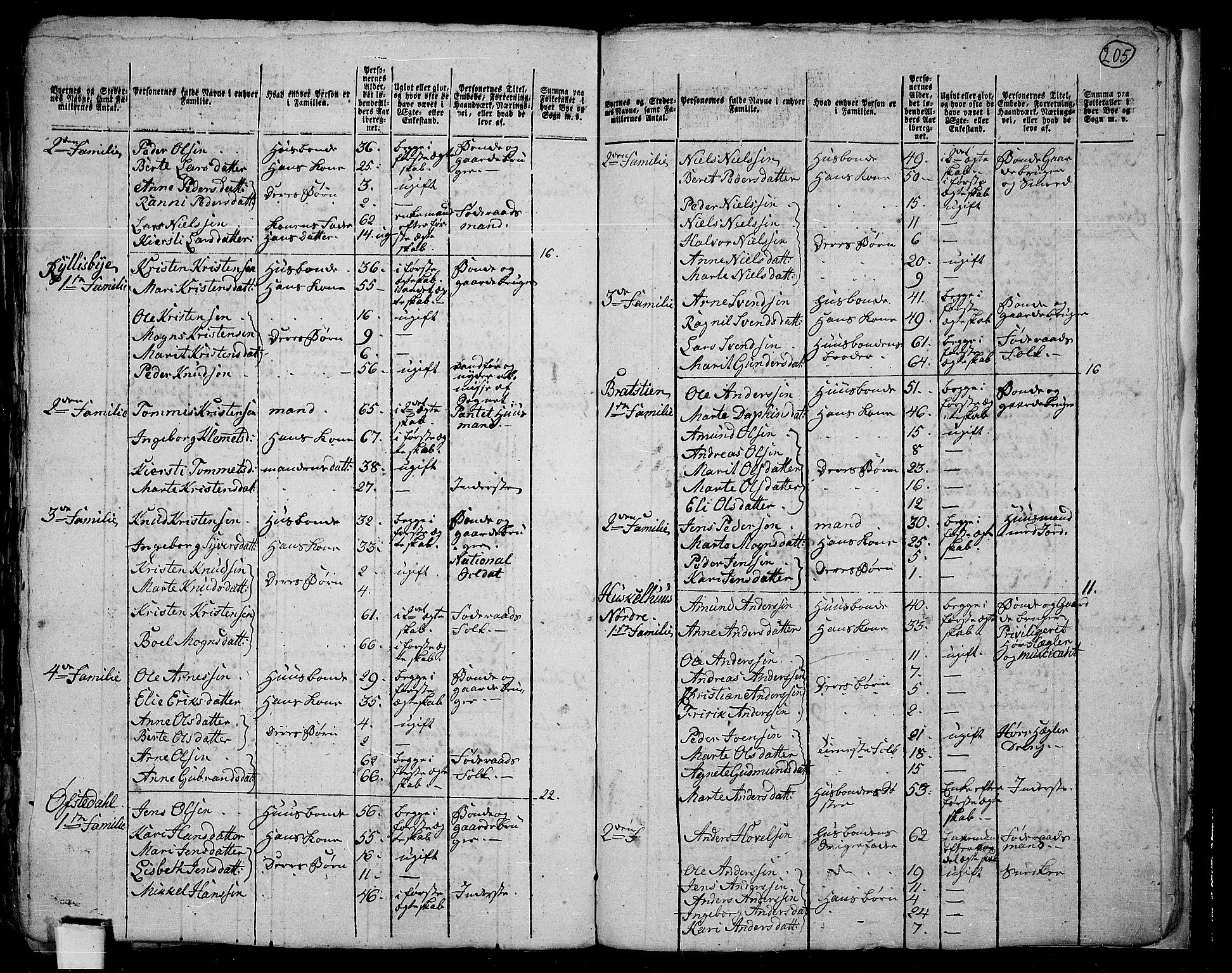 RA, 1801 census for 0525P Biri, 1801, p. 204b-205a