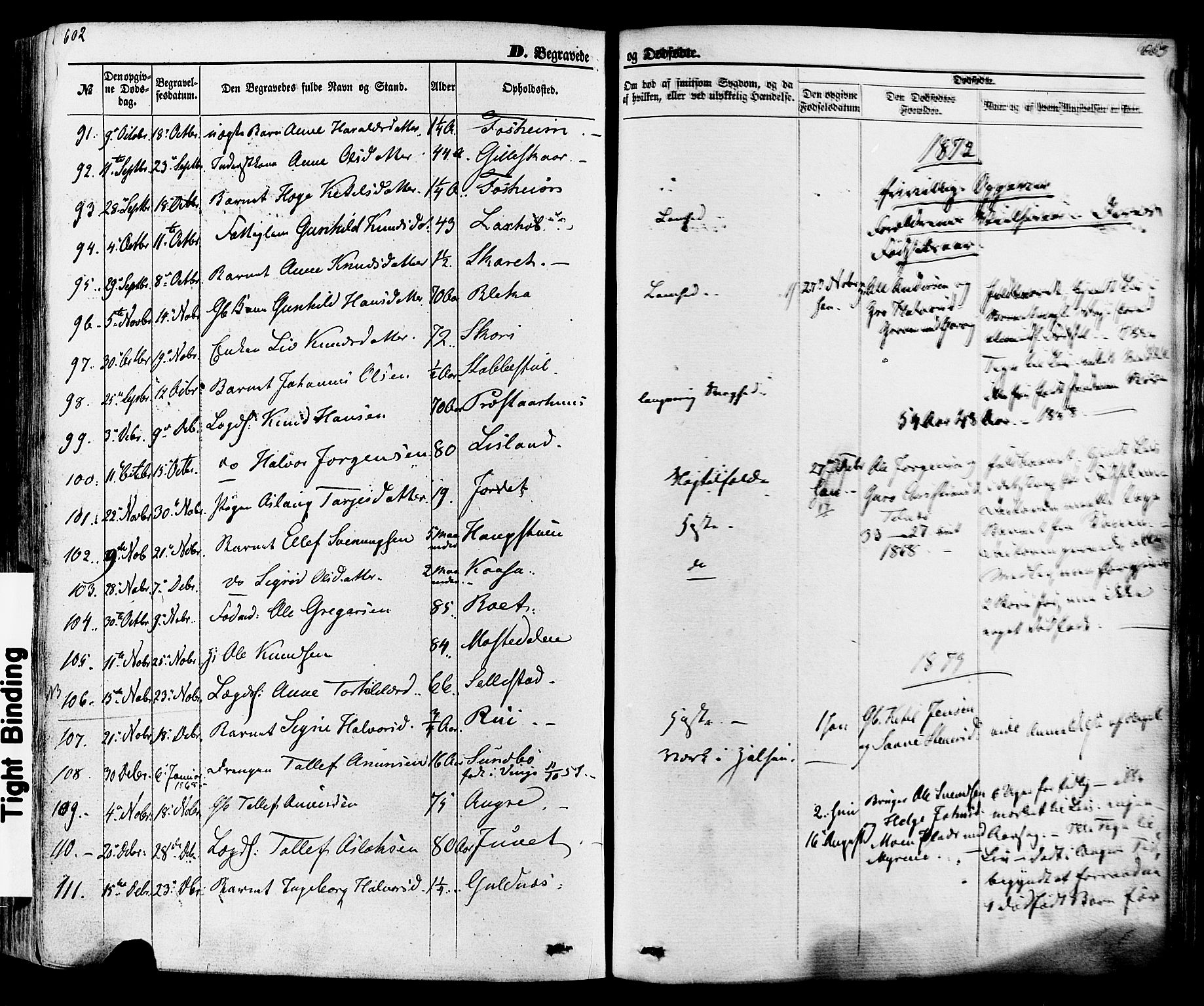 Seljord kirkebøker, SAKO/A-20/F/Fa/L0013: Parish register (official) no. I 13, 1866-1876, p. 602-603