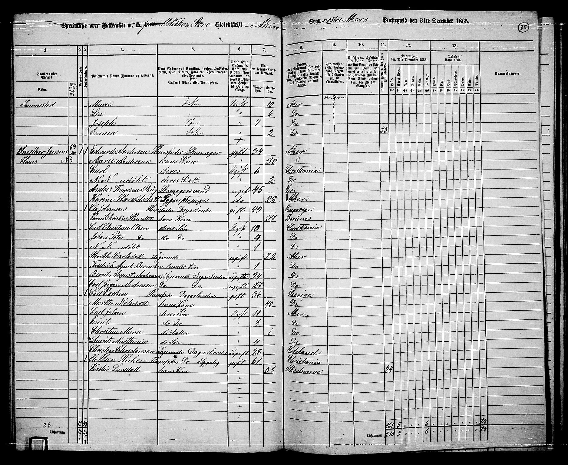 RA, 1865 census for Vestre Aker, 1865, p. 253