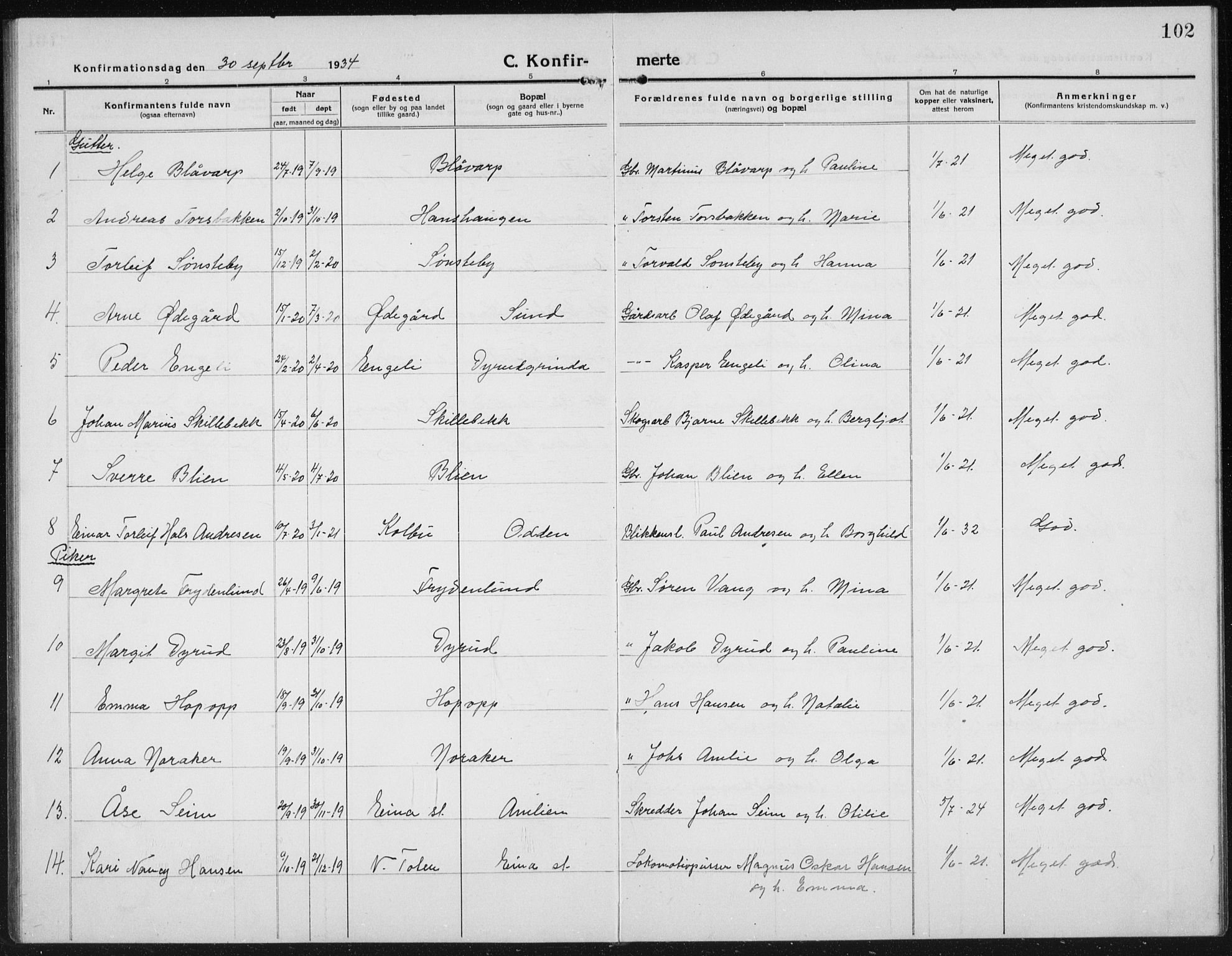 Kolbu prestekontor, AV/SAH-PREST-110/H/Ha/Hab/L0006: Parish register (copy) no. 6, 1916-1934, p. 102