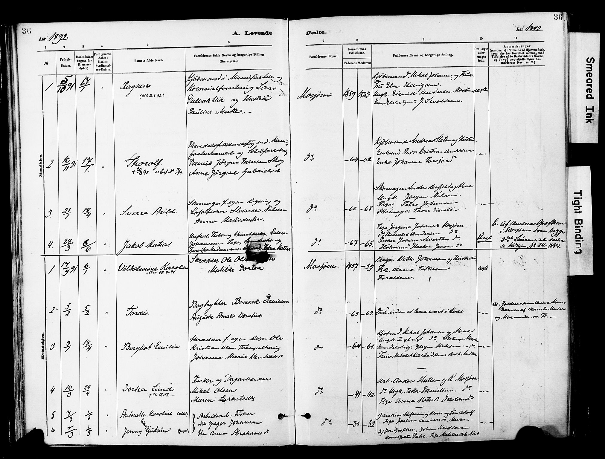 Ministerialprotokoller, klokkerbøker og fødselsregistre - Nordland, SAT/A-1459/820/L0296: Parish register (official) no. 820A17, 1880-1903, p. 36