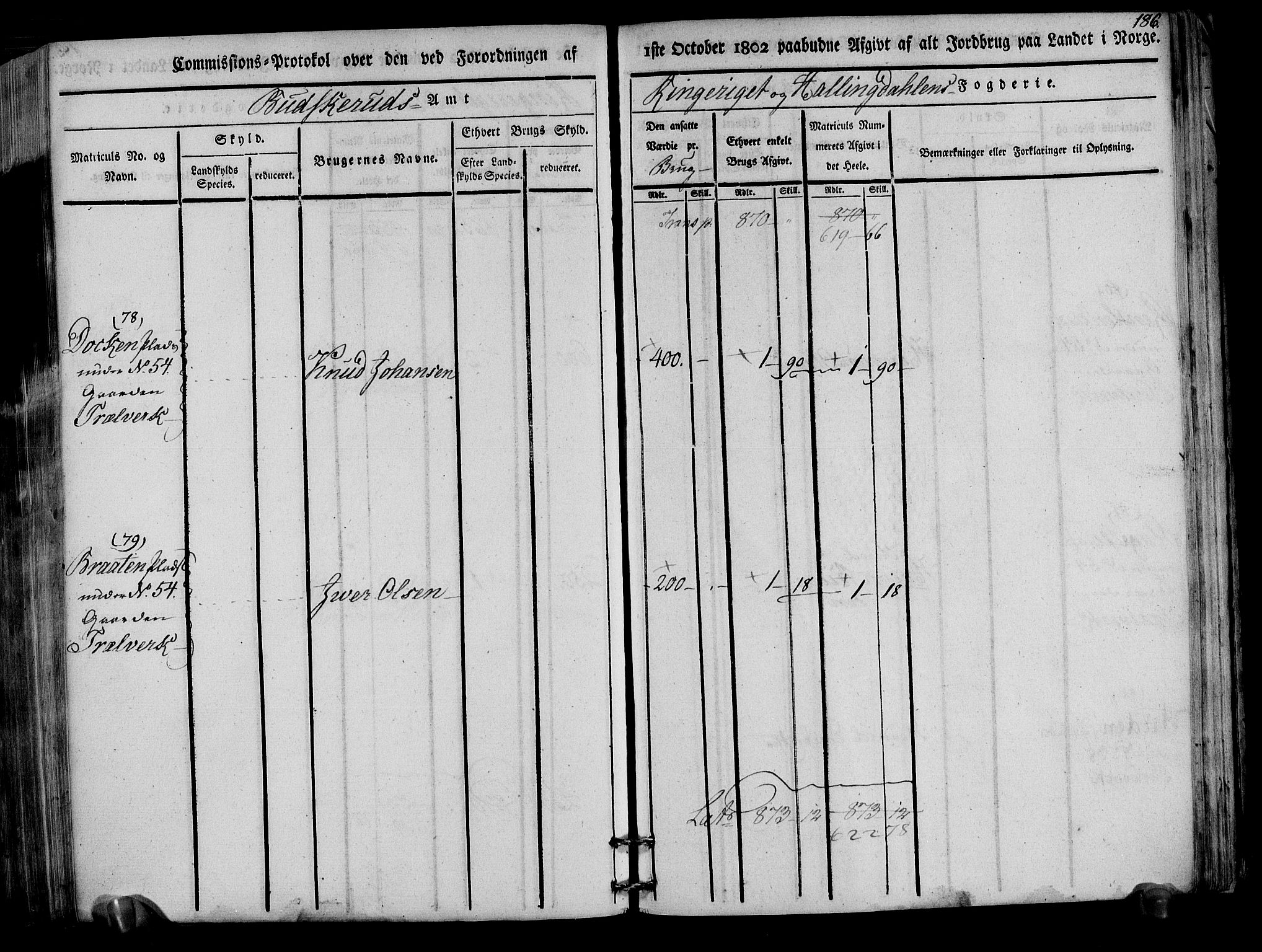 Rentekammeret inntil 1814, Realistisk ordnet avdeling, AV/RA-EA-4070/N/Ne/Nea/L0047: Ringerike og Hallingdal fogderi. Kommisjonsprotokoll for Nes prestegjeld, 1803, p. 189