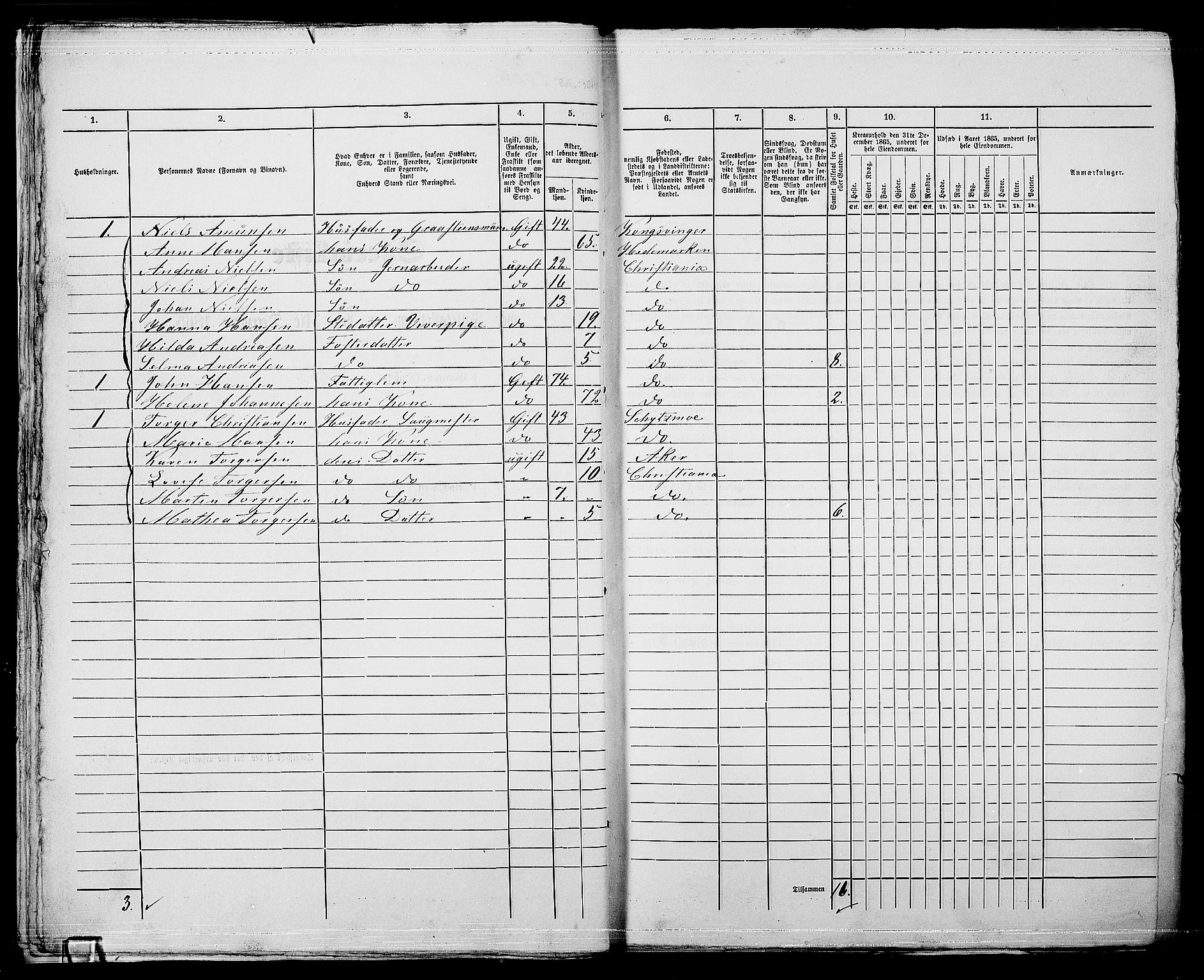 RA, 1865 census for Kristiania, 1865, p. 4919