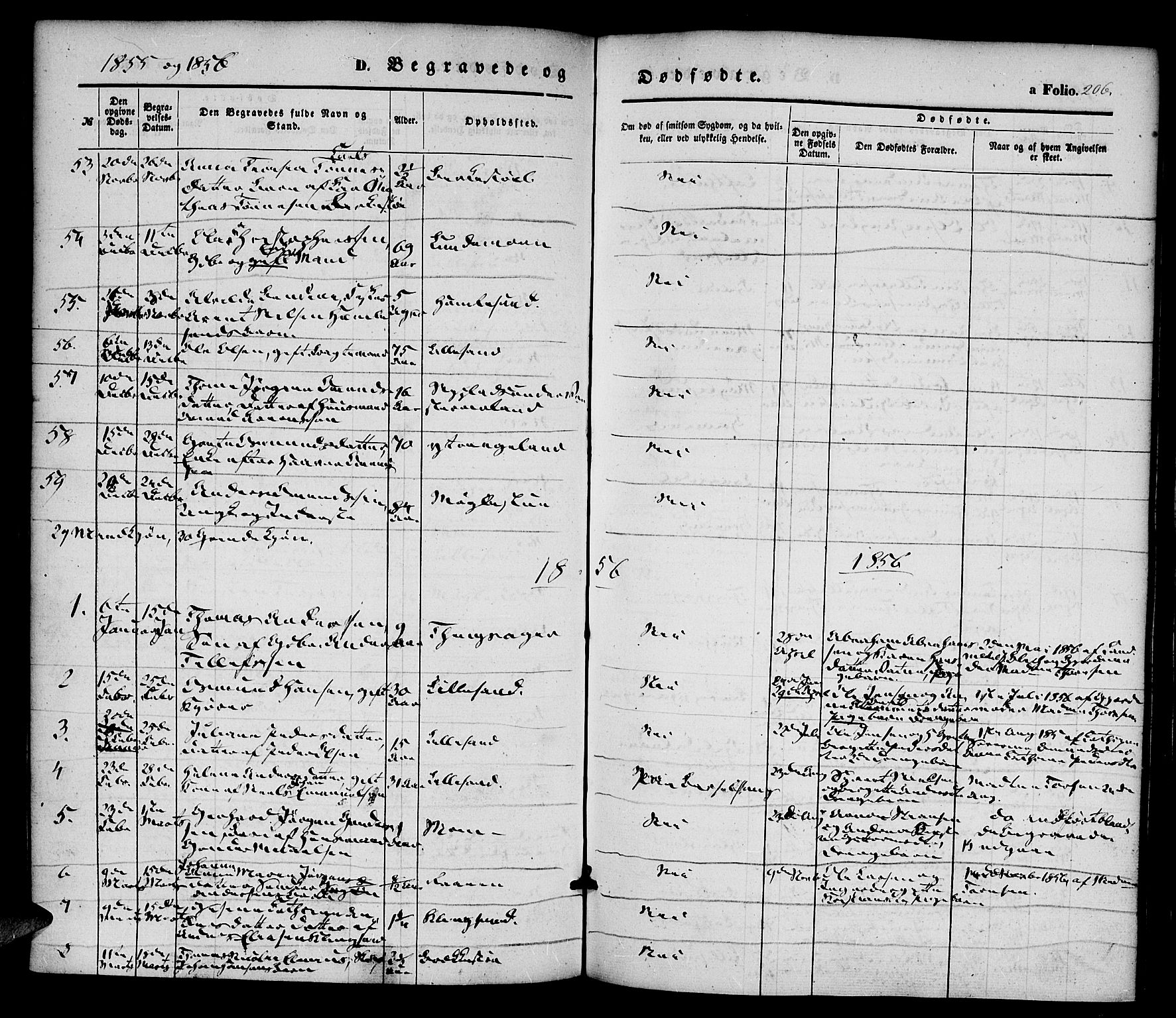 Vestre Moland sokneprestkontor, SAK/1111-0046/F/Fa/Fab/L0006: Parish register (official) no. A 6, 1850-1858, p. 206
