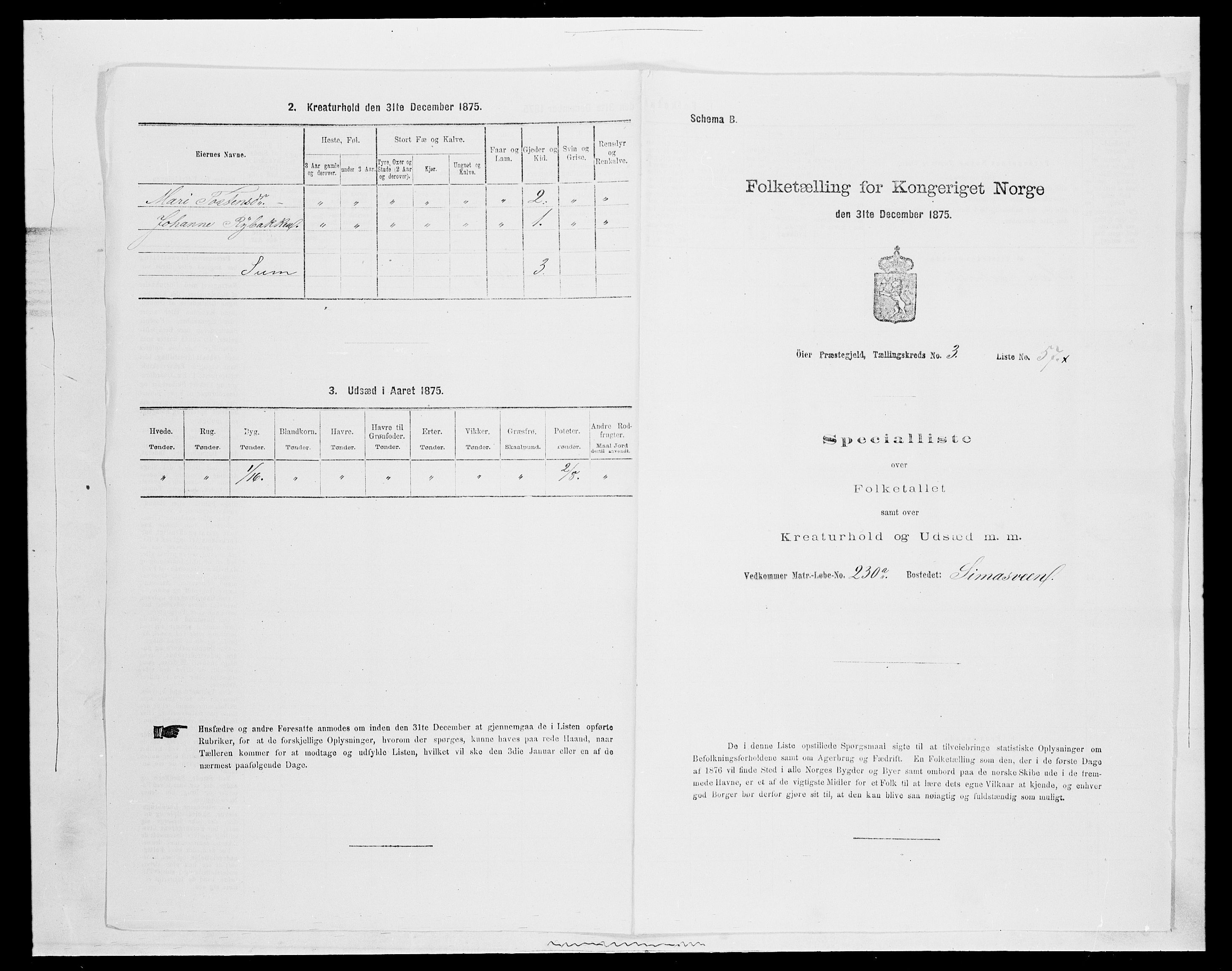 SAH, 1875 census for 0521P Øyer, 1875, p. 717