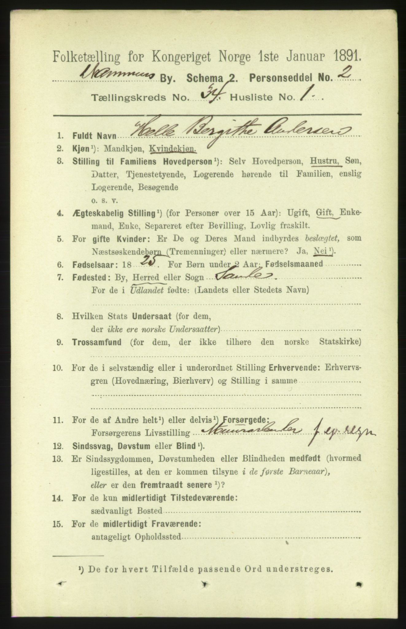 RA, 1891 census for 0602 Drammen, 1891, p. 20651