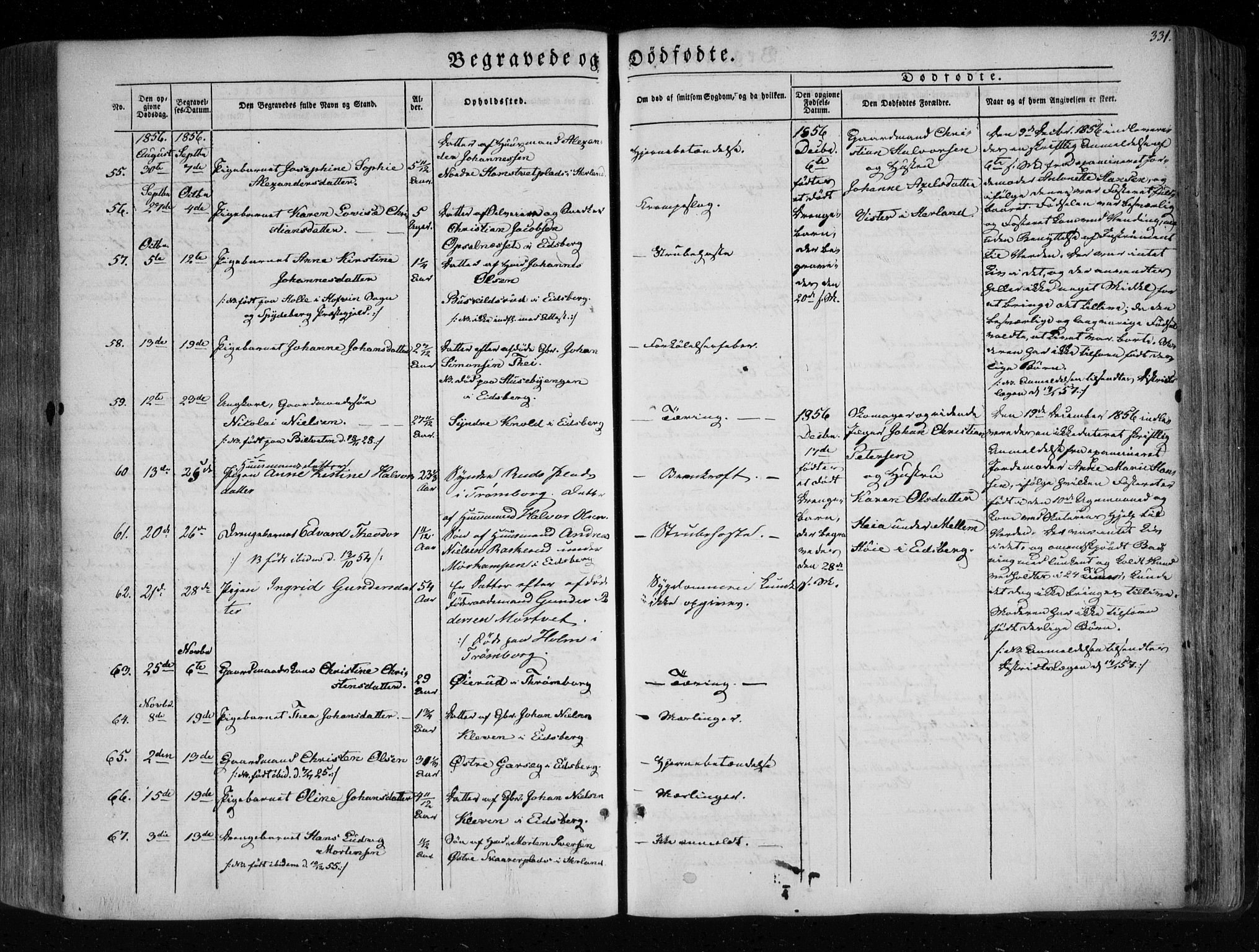 Eidsberg prestekontor Kirkebøker, SAO/A-10905/F/Fa/L0009: Parish register (official) no. I 9, 1849-1856, p. 331