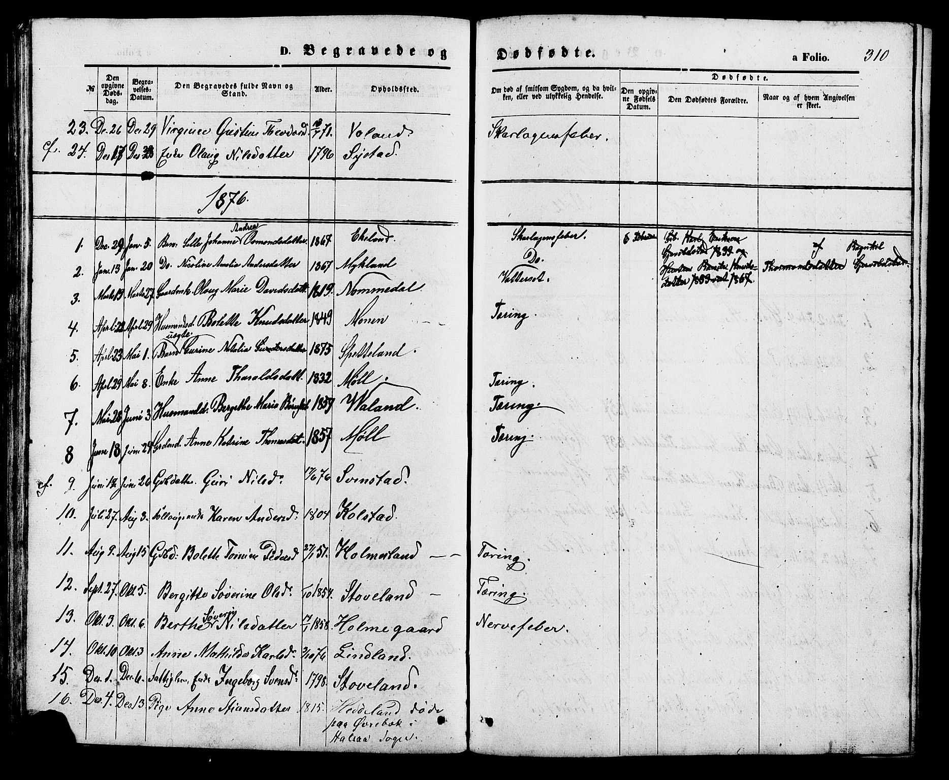 Holum sokneprestkontor, SAK/1111-0022/F/Fb/Fba/L0004: Parish register (copy) no. B 4, 1867-1890, p. 310