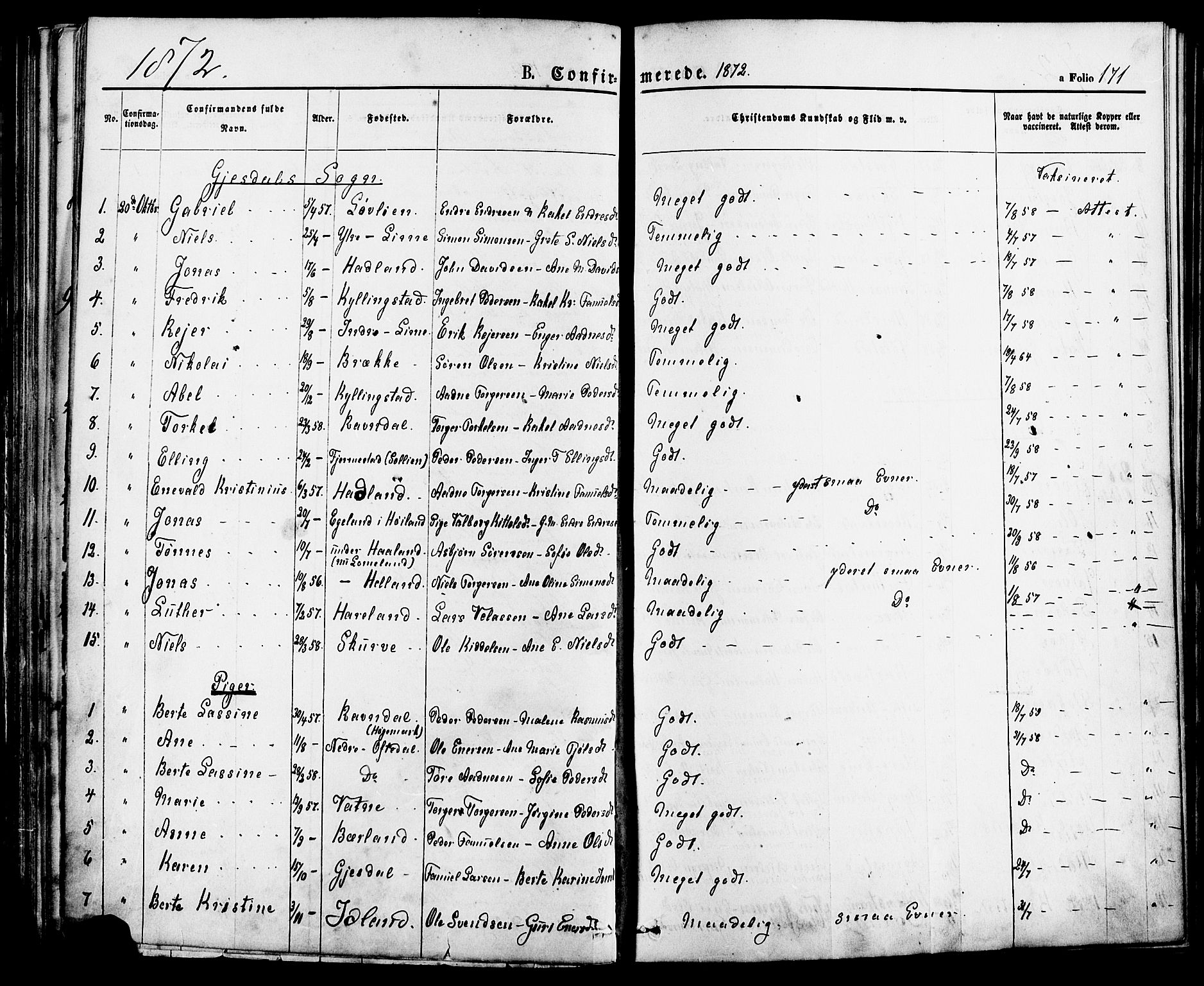 Lye sokneprestkontor, SAST/A-101794/001/30BA/L0008: Parish register (official) no. A 7, 1872-1881, p. 171