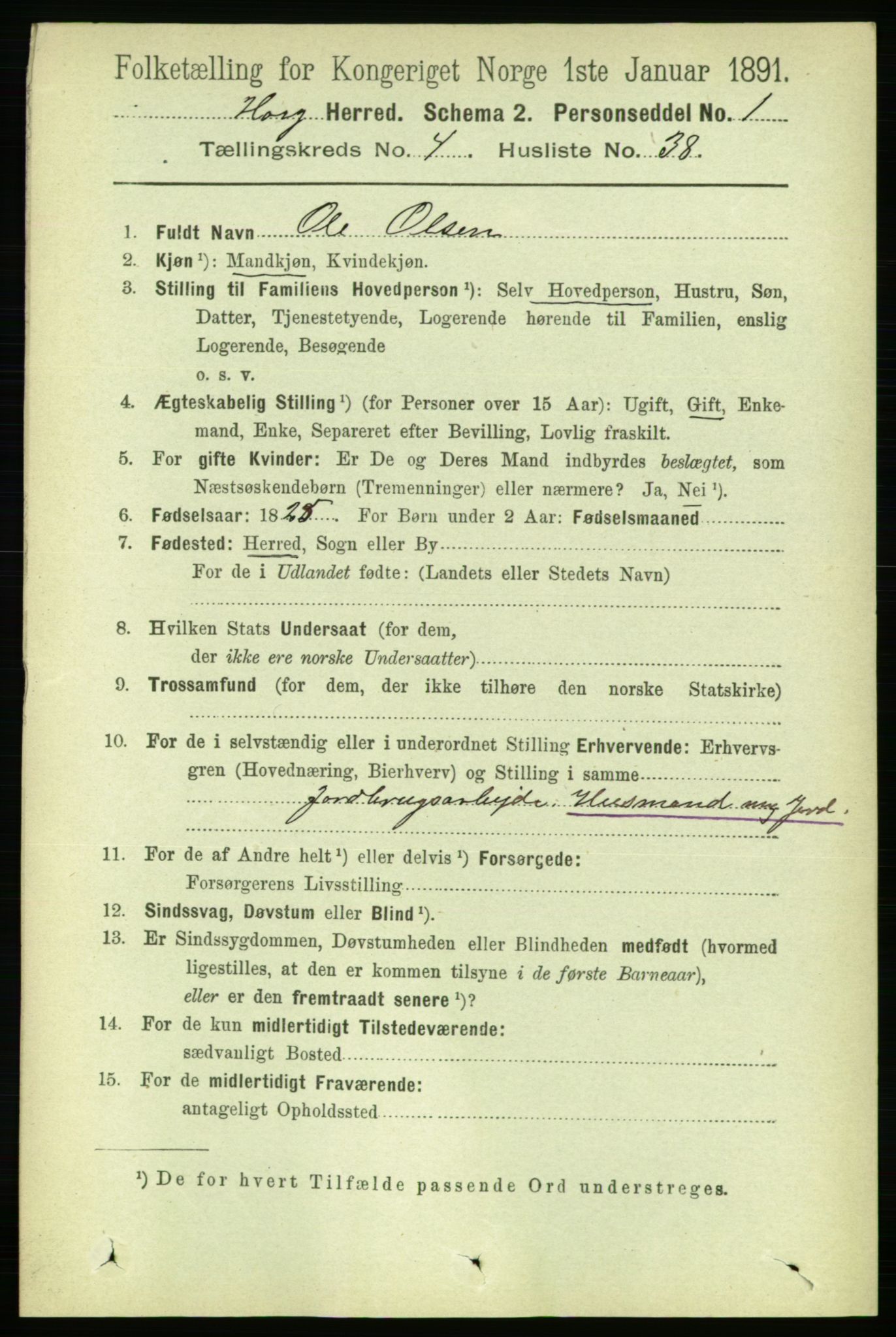 RA, 1891 census for 1650 Horg, 1891, p. 1766