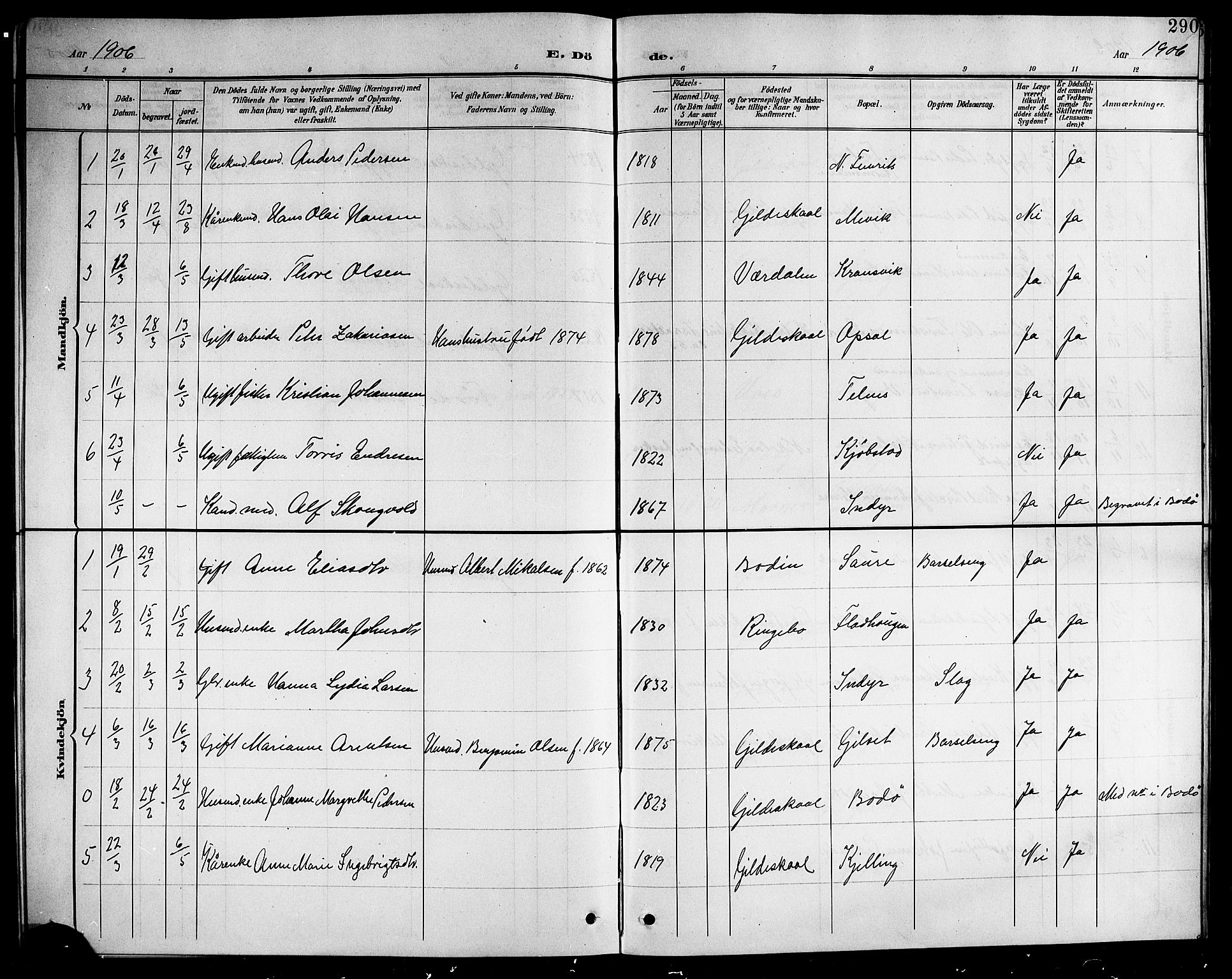 Ministerialprotokoller, klokkerbøker og fødselsregistre - Nordland, SAT/A-1459/805/L0109: Parish register (copy) no. 805C05, 1900-1911, p. 290