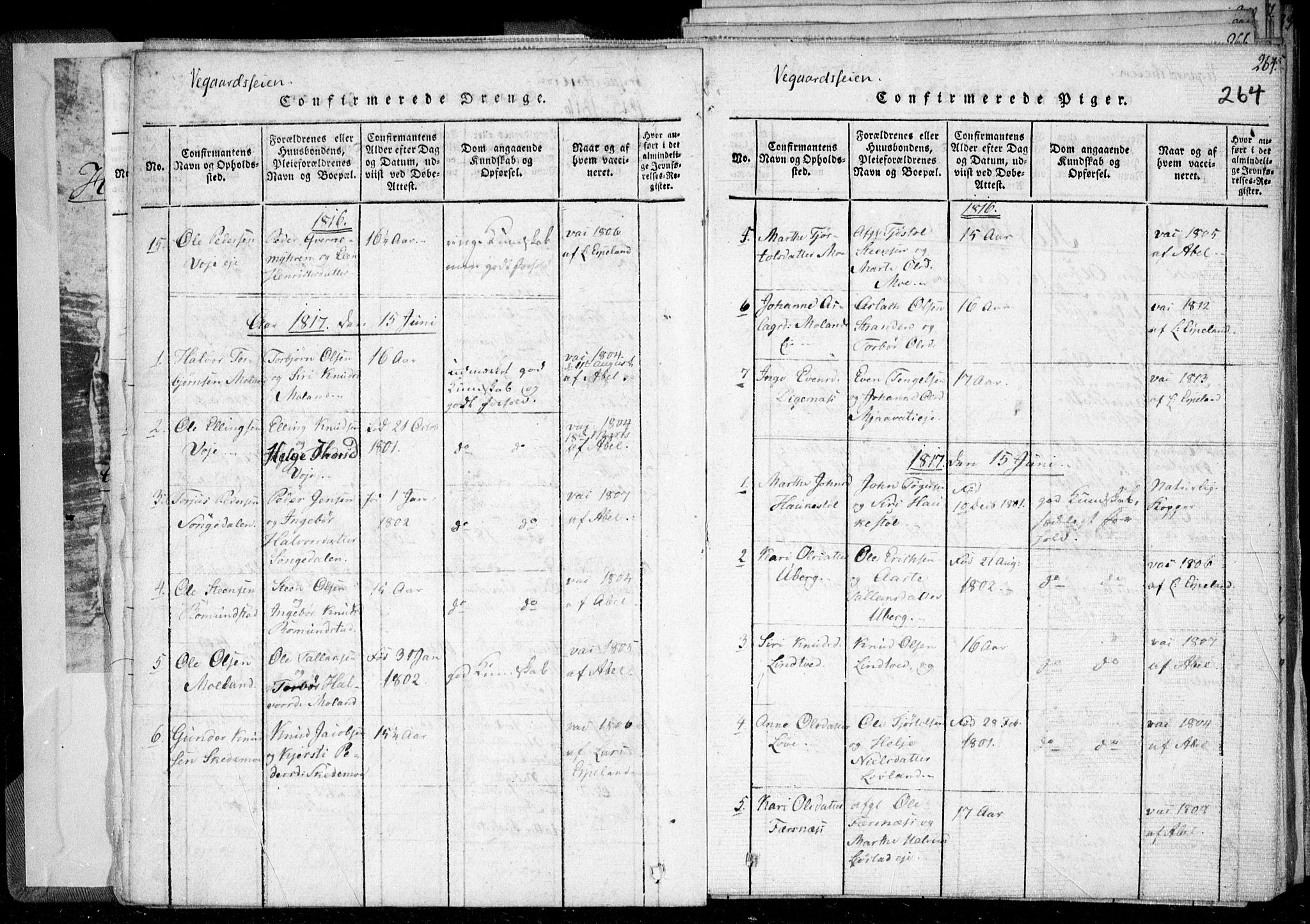 Holt sokneprestkontor, AV/SAK-1111-0021/F/Fa/L0005: Parish register (official) no. A 5, 1813-1821, p. 264