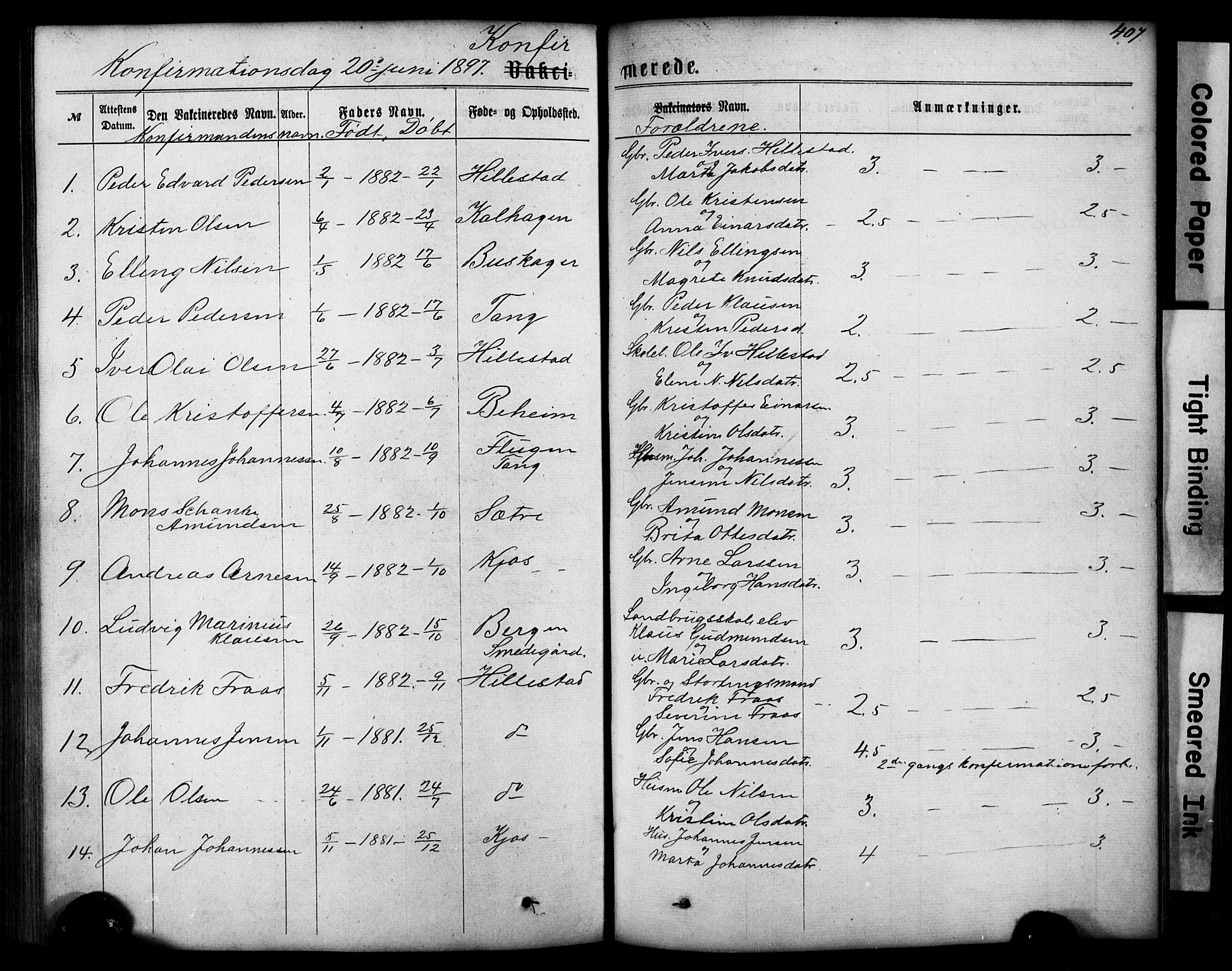 Hafslo sokneprestembete, AV/SAB-A-80301/H/Hab/Haba/L0001: Parish register (copy) no. A 1, 1866-1908, p. 407