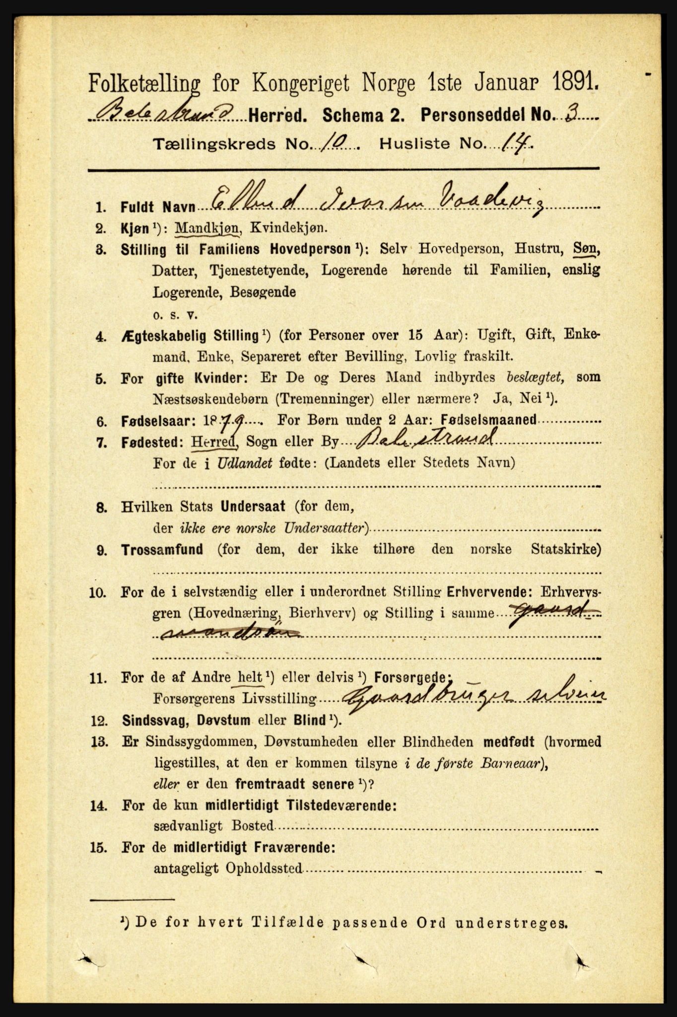 RA, 1891 census for 1418 Balestrand, 1891, p. 2337