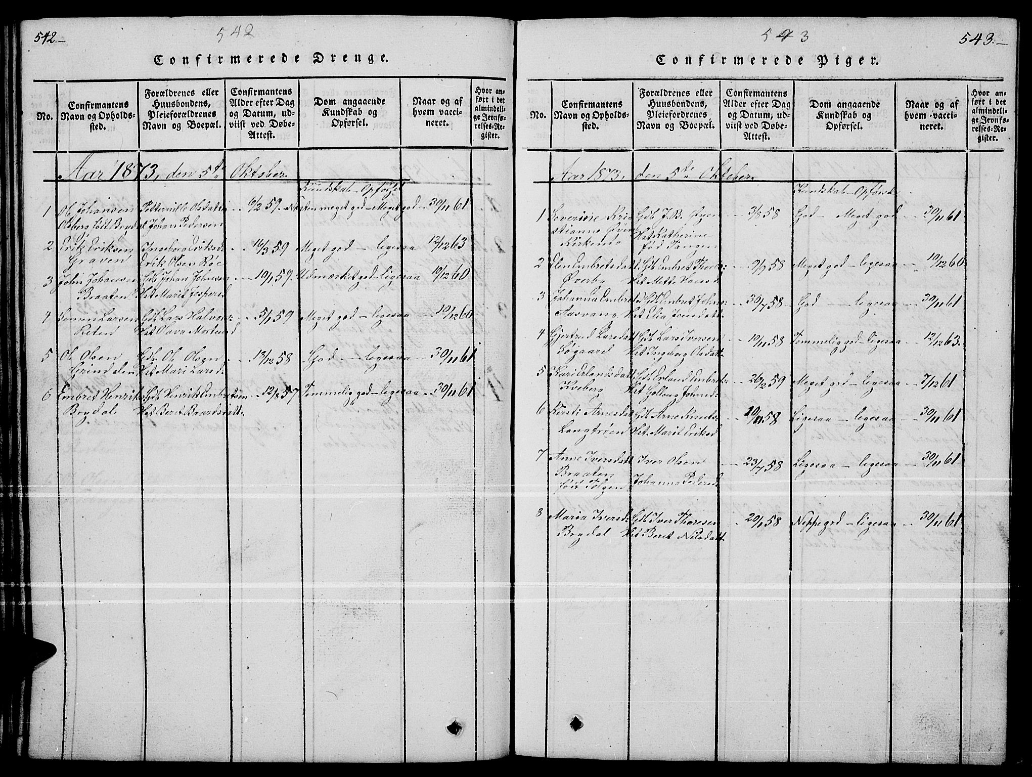 Tynset prestekontor, SAH/PREST-058/H/Ha/Hab/L0004: Parish register (copy) no. 4, 1814-1879, p. 542-543