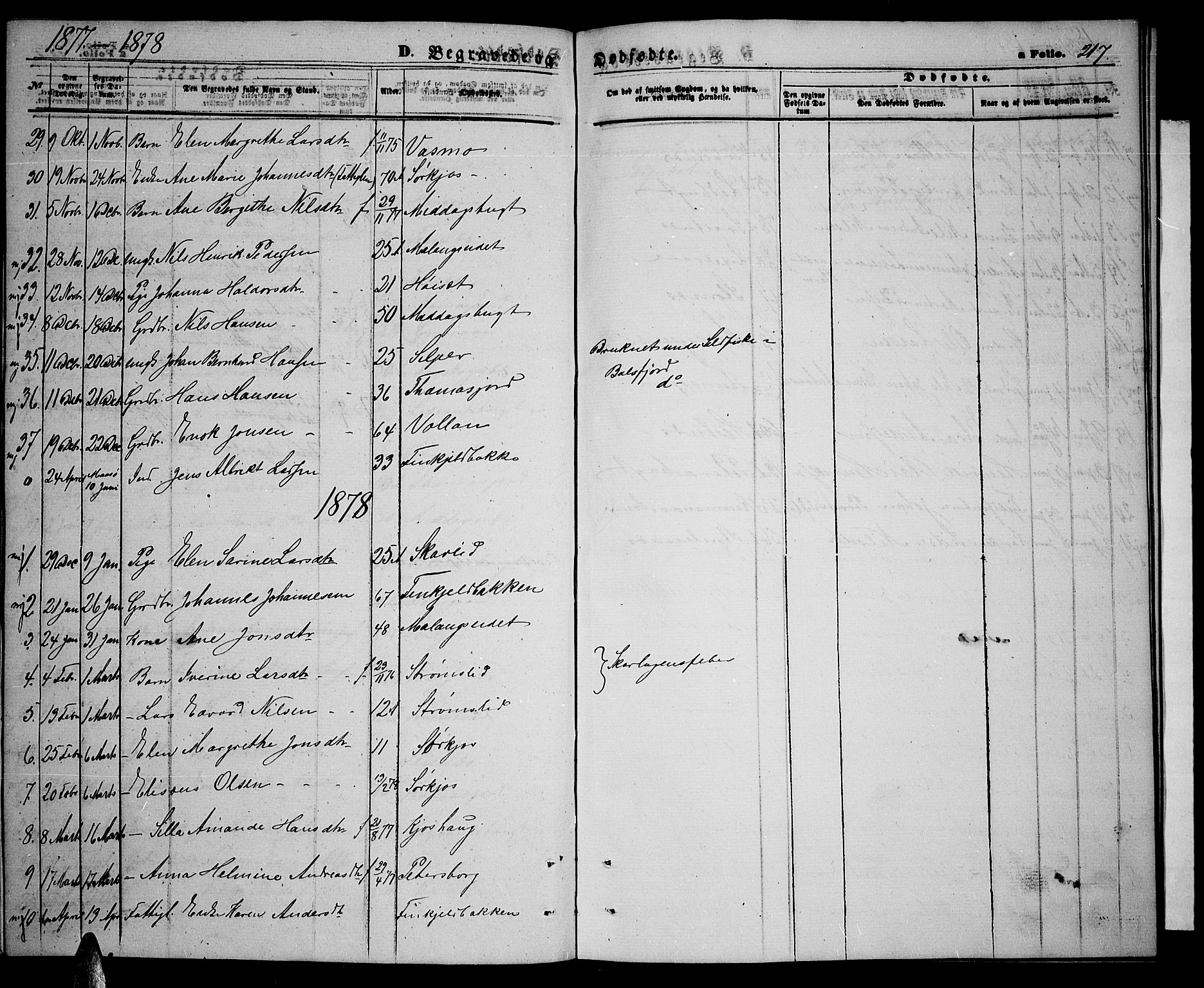 Balsfjord sokneprestembete, SATØ/S-1303/G/Ga/L0006klokker: Parish register (copy) no. 6, 1863-1878, p. 217