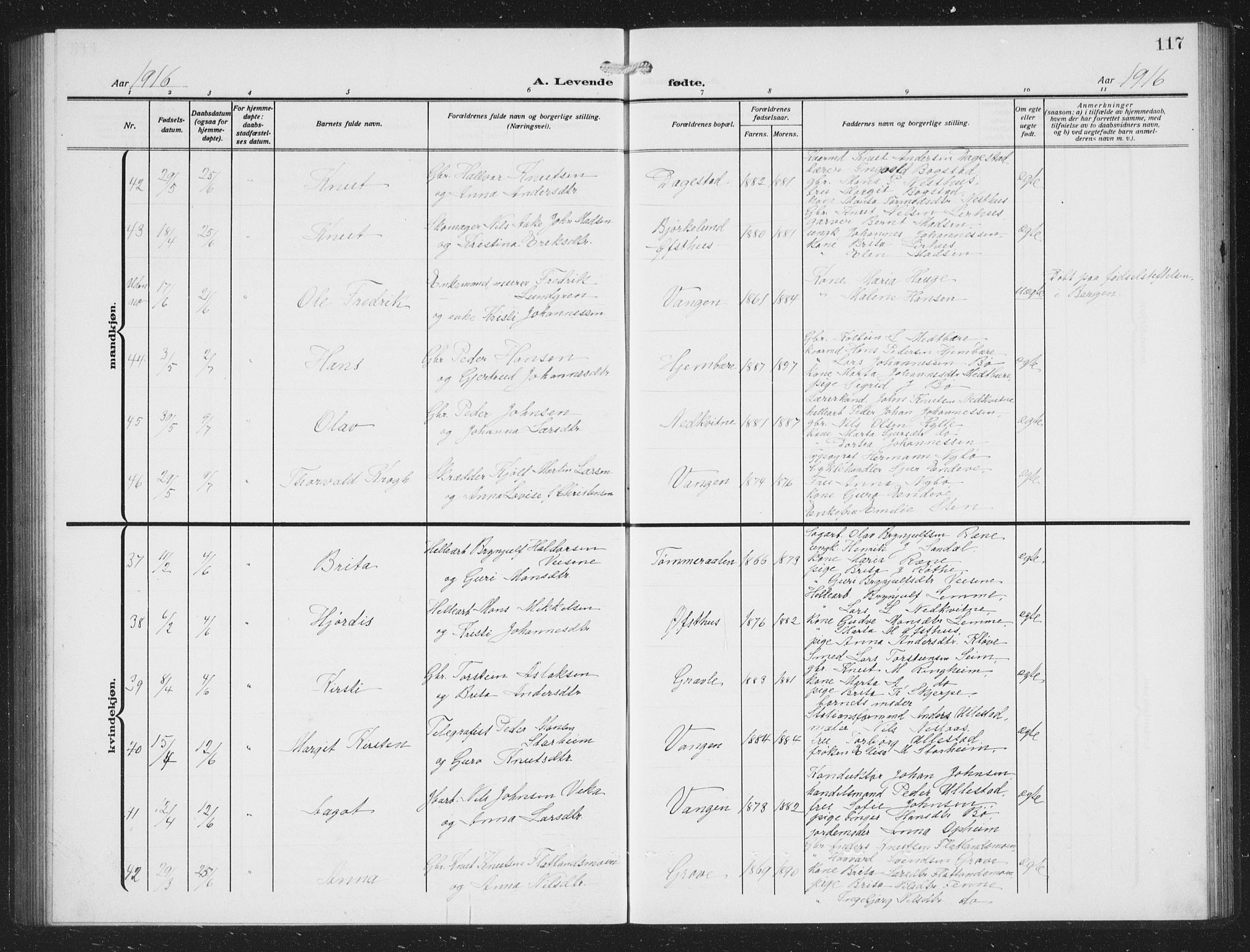 Voss sokneprestembete, AV/SAB-A-79001/H/Hab: Parish register (copy) no. C 3, 1909-1920, p. 117