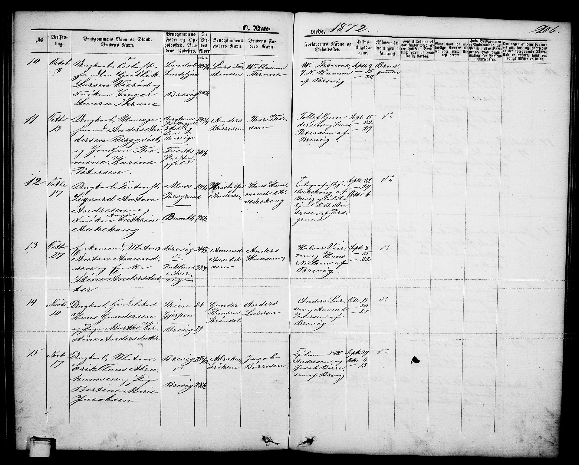 Brevik kirkebøker, SAKO/A-255/G/Ga/L0003: Parish register (copy) no. 3, 1866-1881, p. 206
