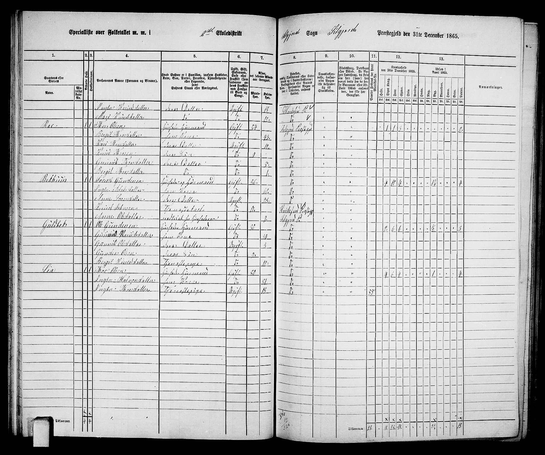 RA, 1865 census for Seljord, 1865, p. 40