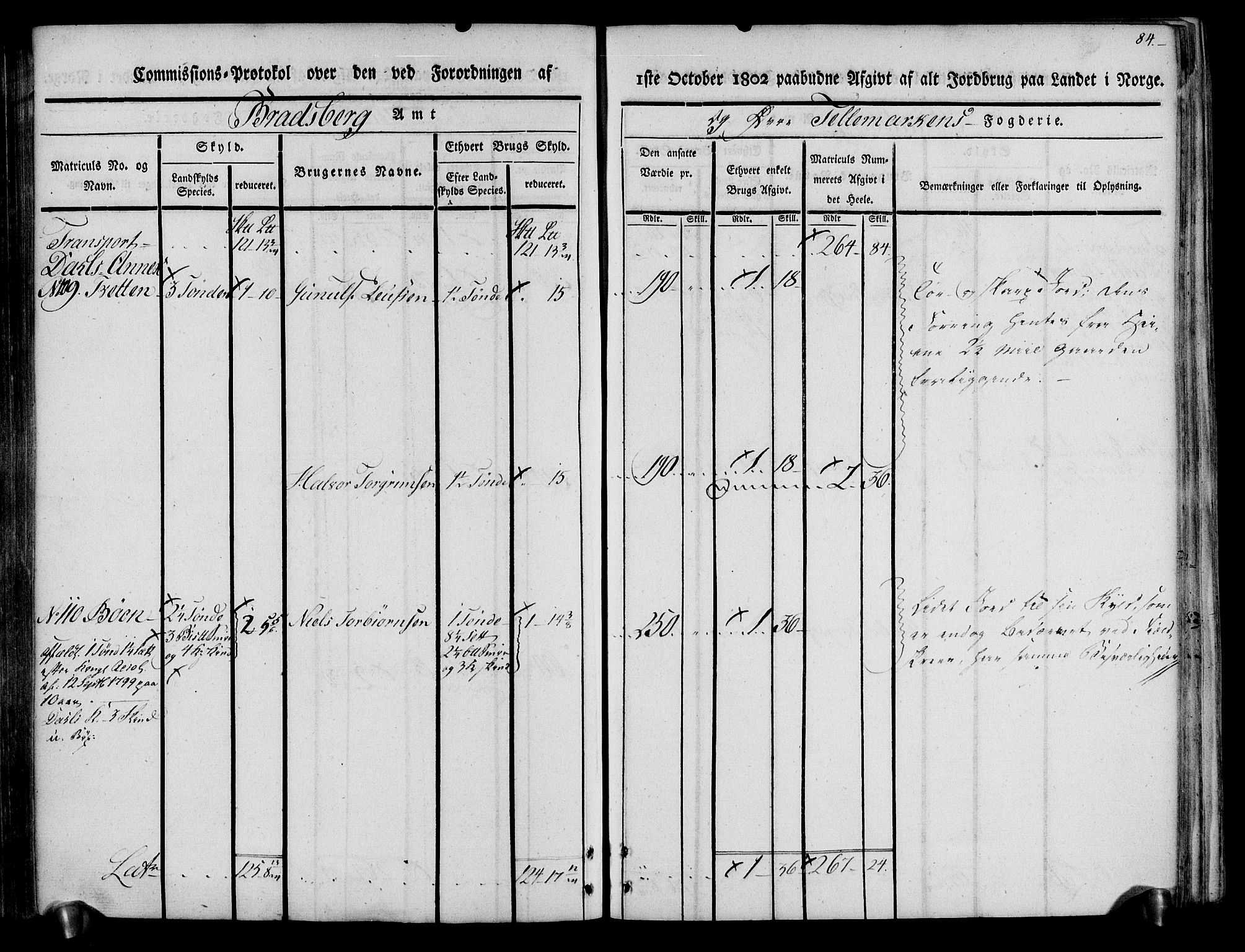 Rentekammeret inntil 1814, Realistisk ordnet avdeling, AV/RA-EA-4070/N/Ne/Nea/L0074: Øvre Telemarken fogderi. Kommisjonsprotokoll for fogderiets østre del - Tinn, Hjartdal og Seljord prestegjeld., 1803, p. 84