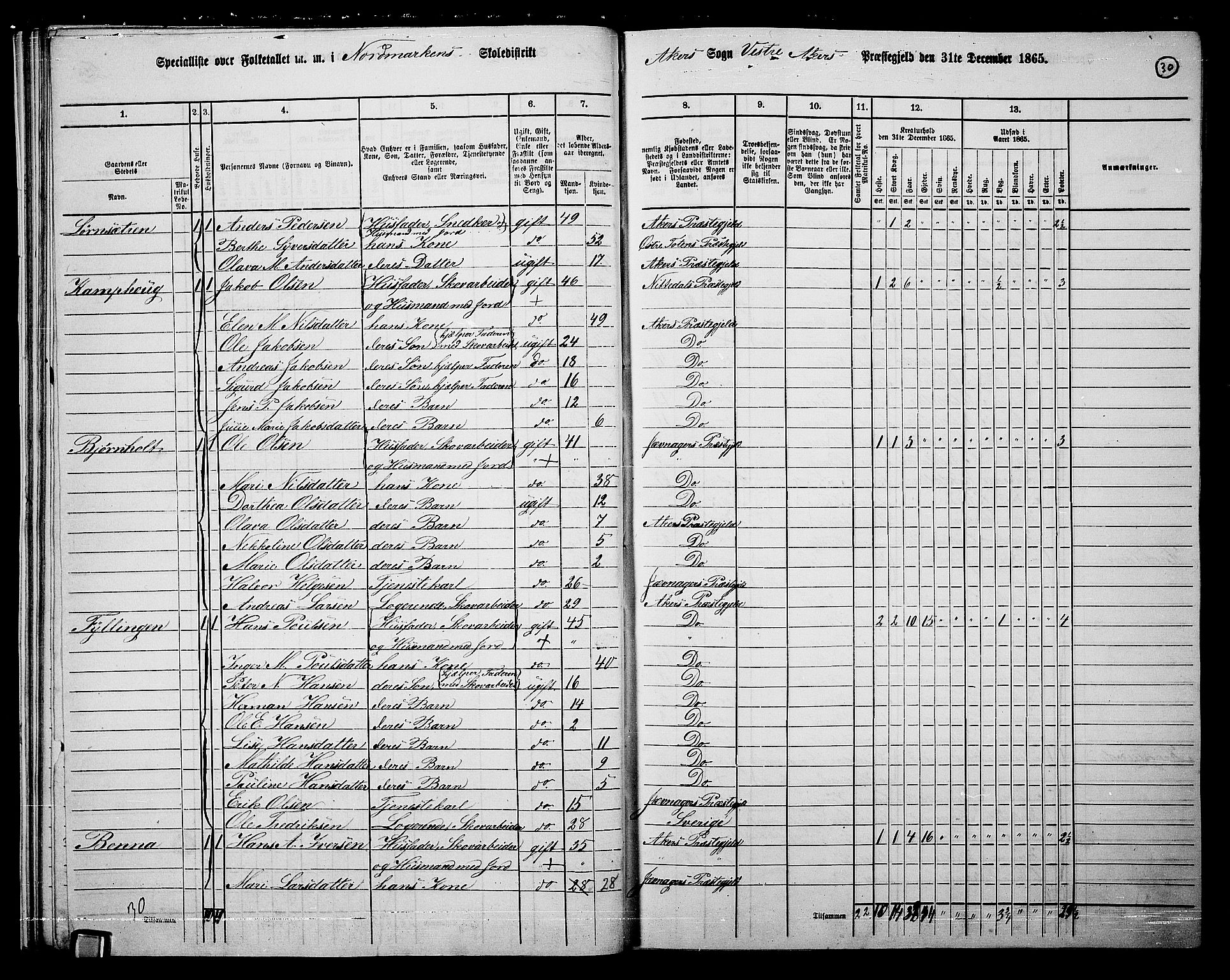 RA, 1865 census for Vestre Aker, 1865, p. 208