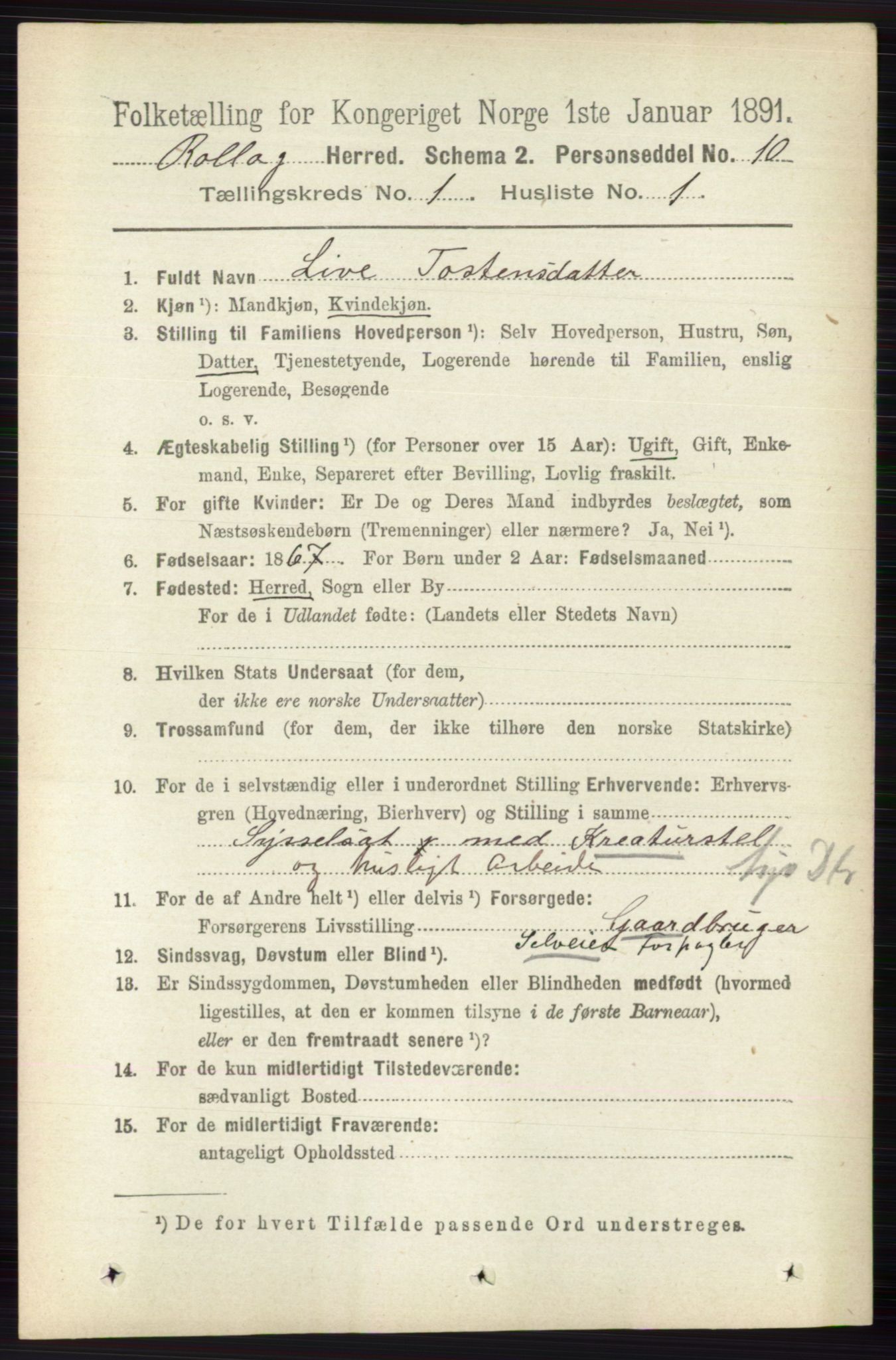 RA, 1891 census for 0632 Rollag, 1891, p. 81