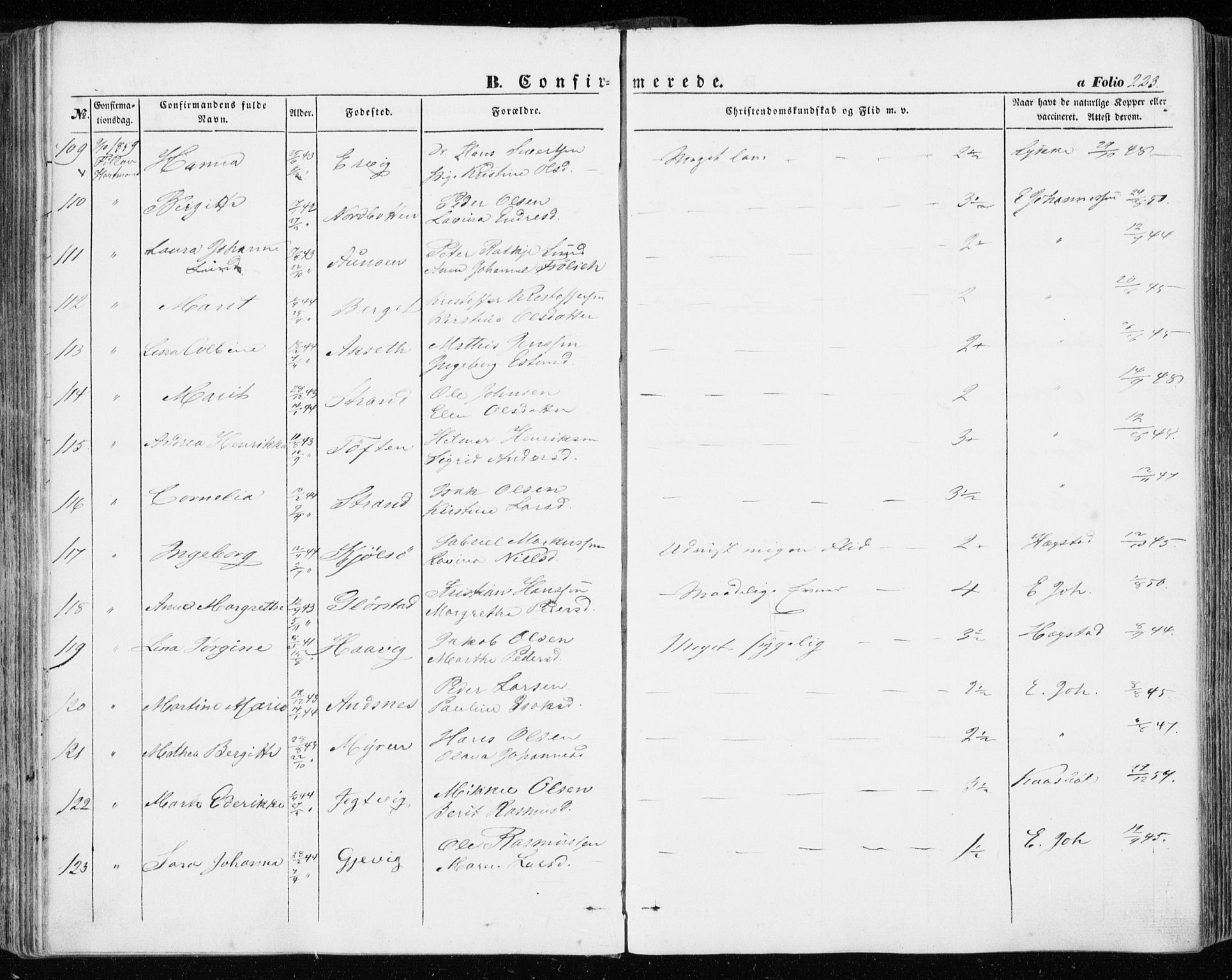 Ministerialprotokoller, klokkerbøker og fødselsregistre - Sør-Trøndelag, AV/SAT-A-1456/634/L0530: Parish register (official) no. 634A06, 1852-1860, p. 223