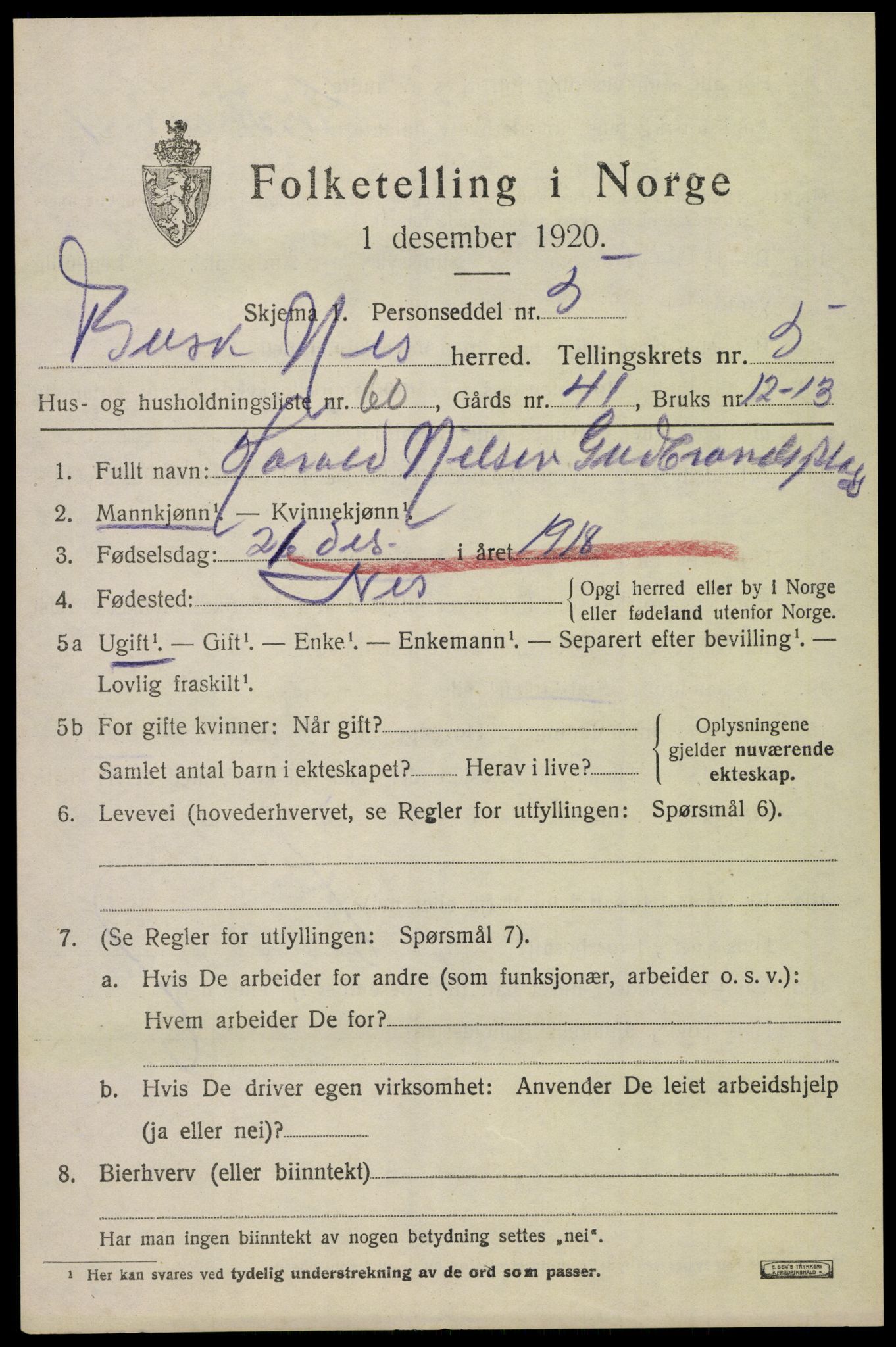 SAKO, 1920 census for Nes (Buskerud), 1920, p. 3052