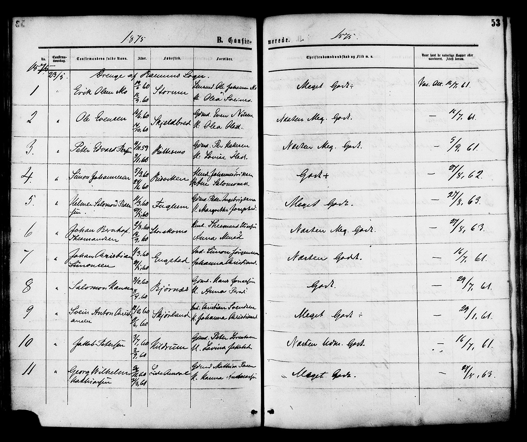 Ministerialprotokoller, klokkerbøker og fødselsregistre - Nord-Trøndelag, AV/SAT-A-1458/764/L0553: Parish register (official) no. 764A08, 1858-1880, p. 53
