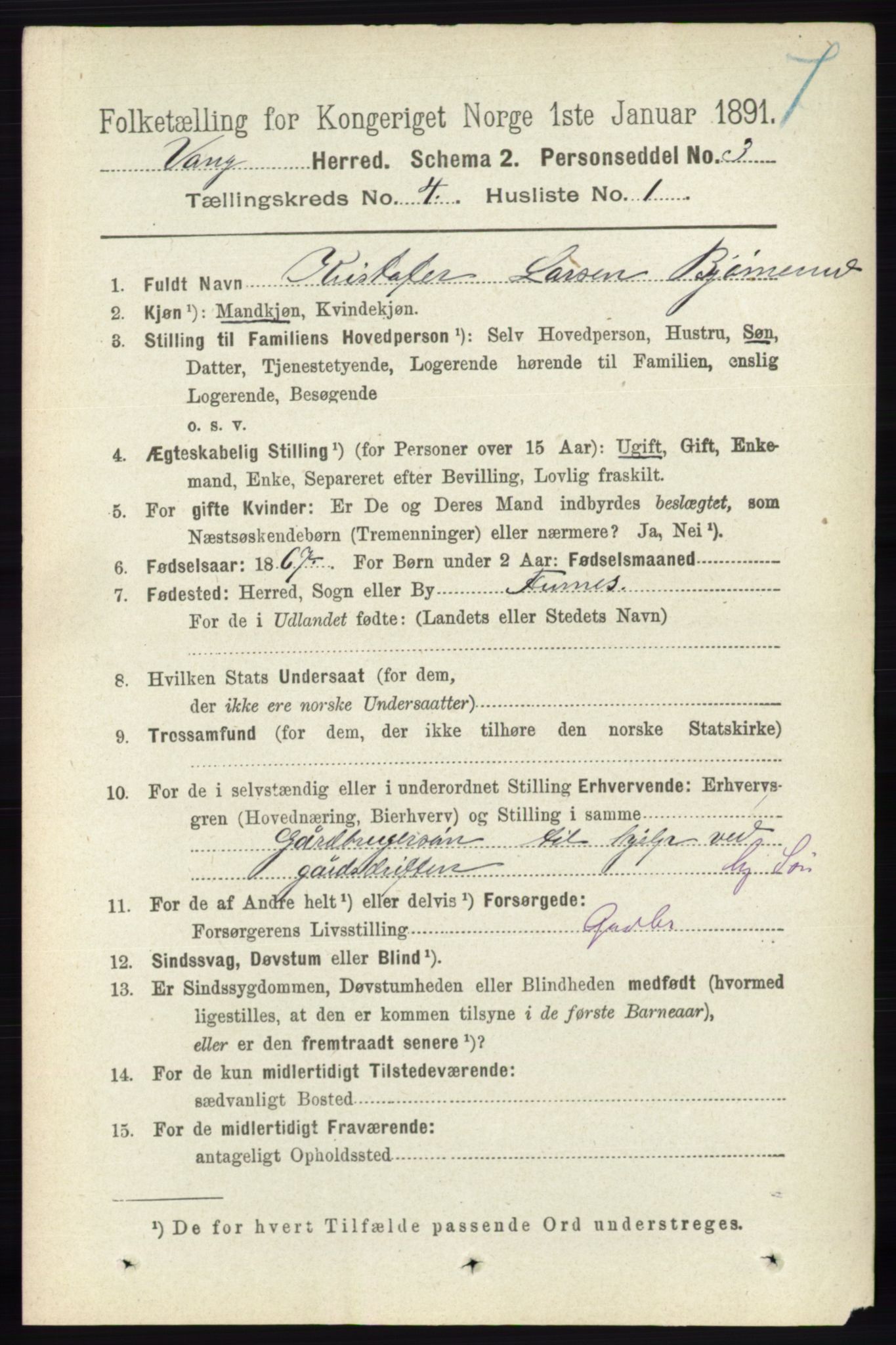 RA, 1891 census for 0414 Vang, 1891, p. 2750