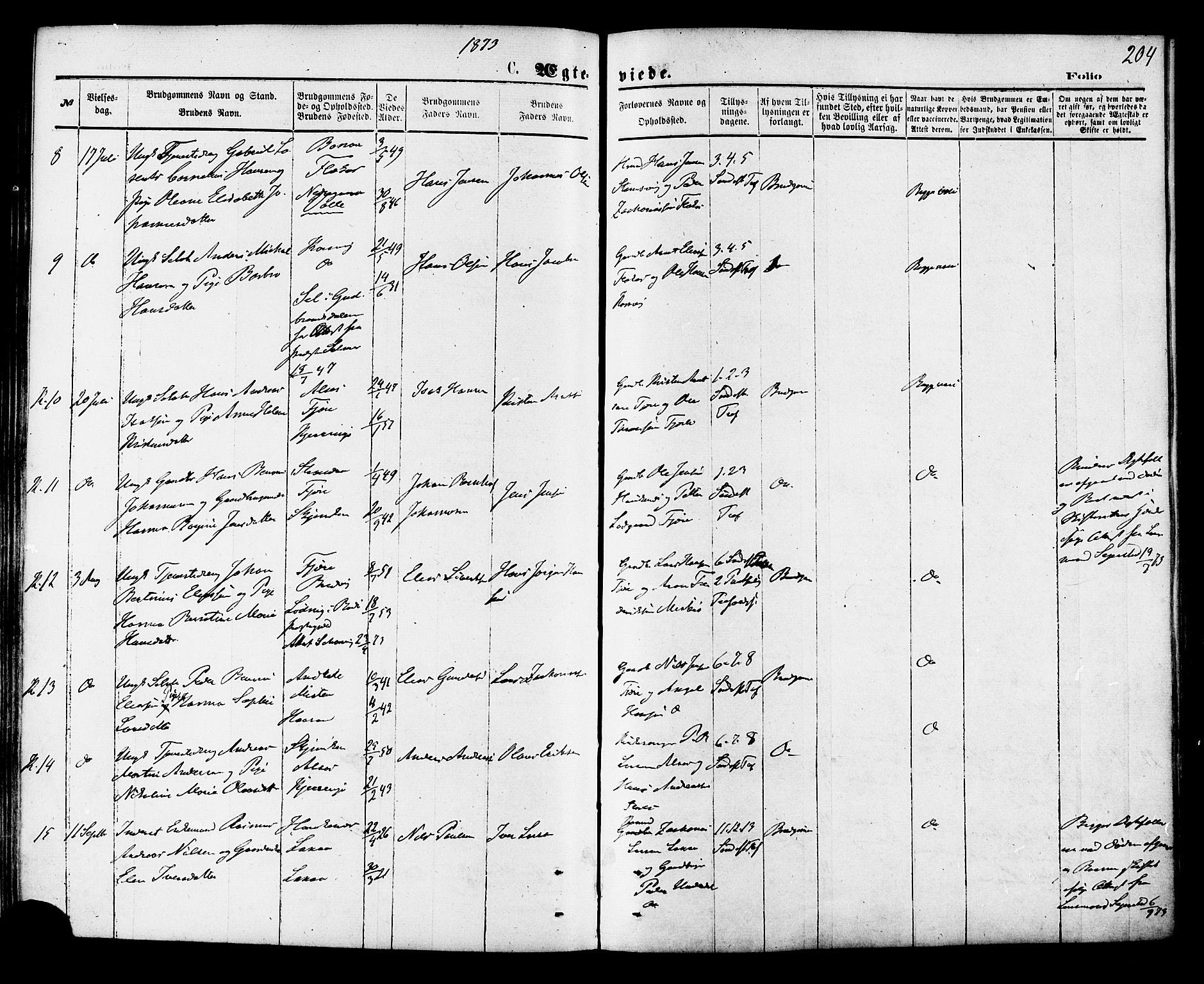 Ministerialprotokoller, klokkerbøker og fødselsregistre - Nordland, SAT/A-1459/853/L0771: Parish register (official) no. 853A10, 1870-1881, p. 204
